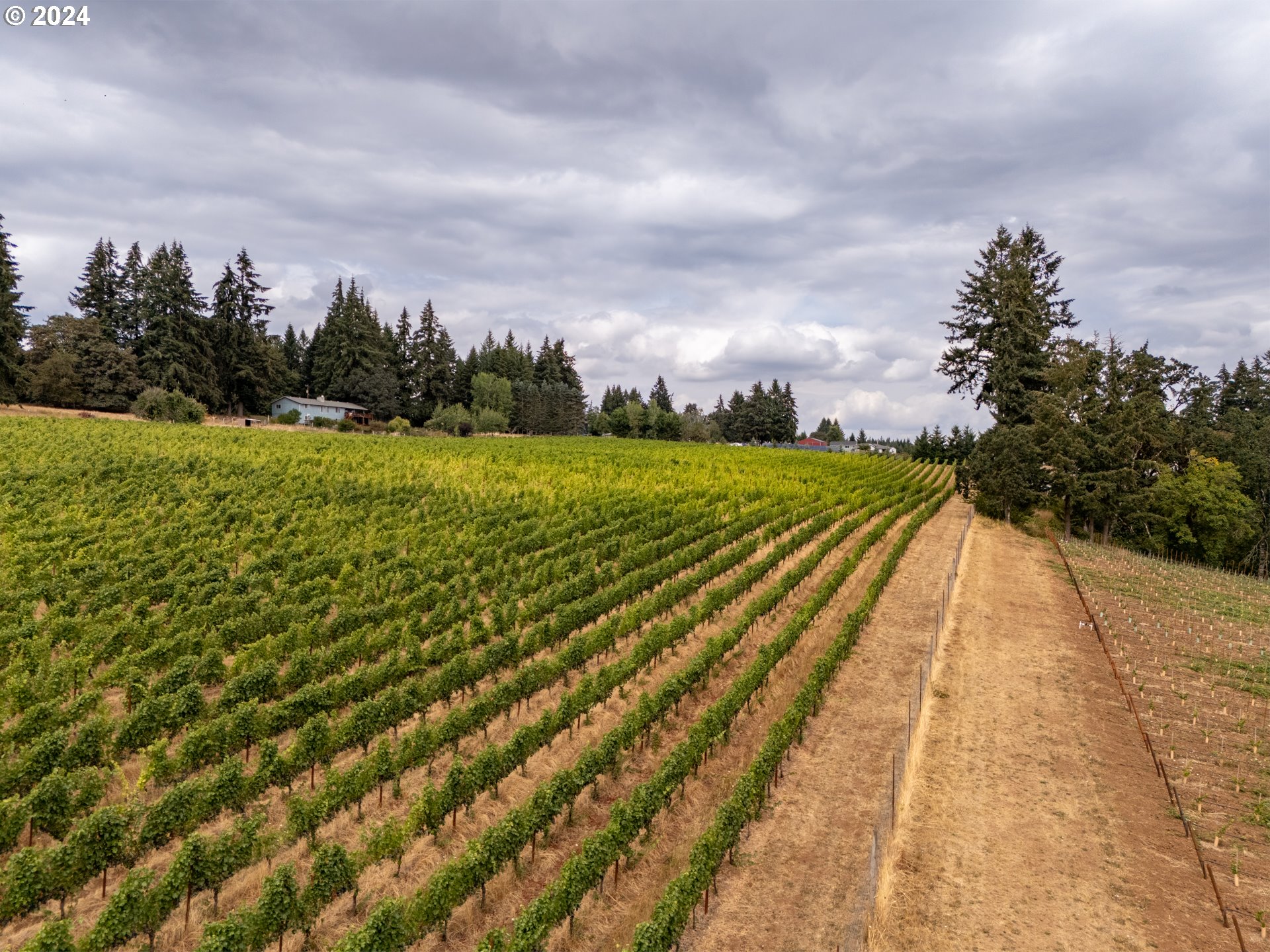 10420 SE HILLVIEW DR, Amity, OR, 97101