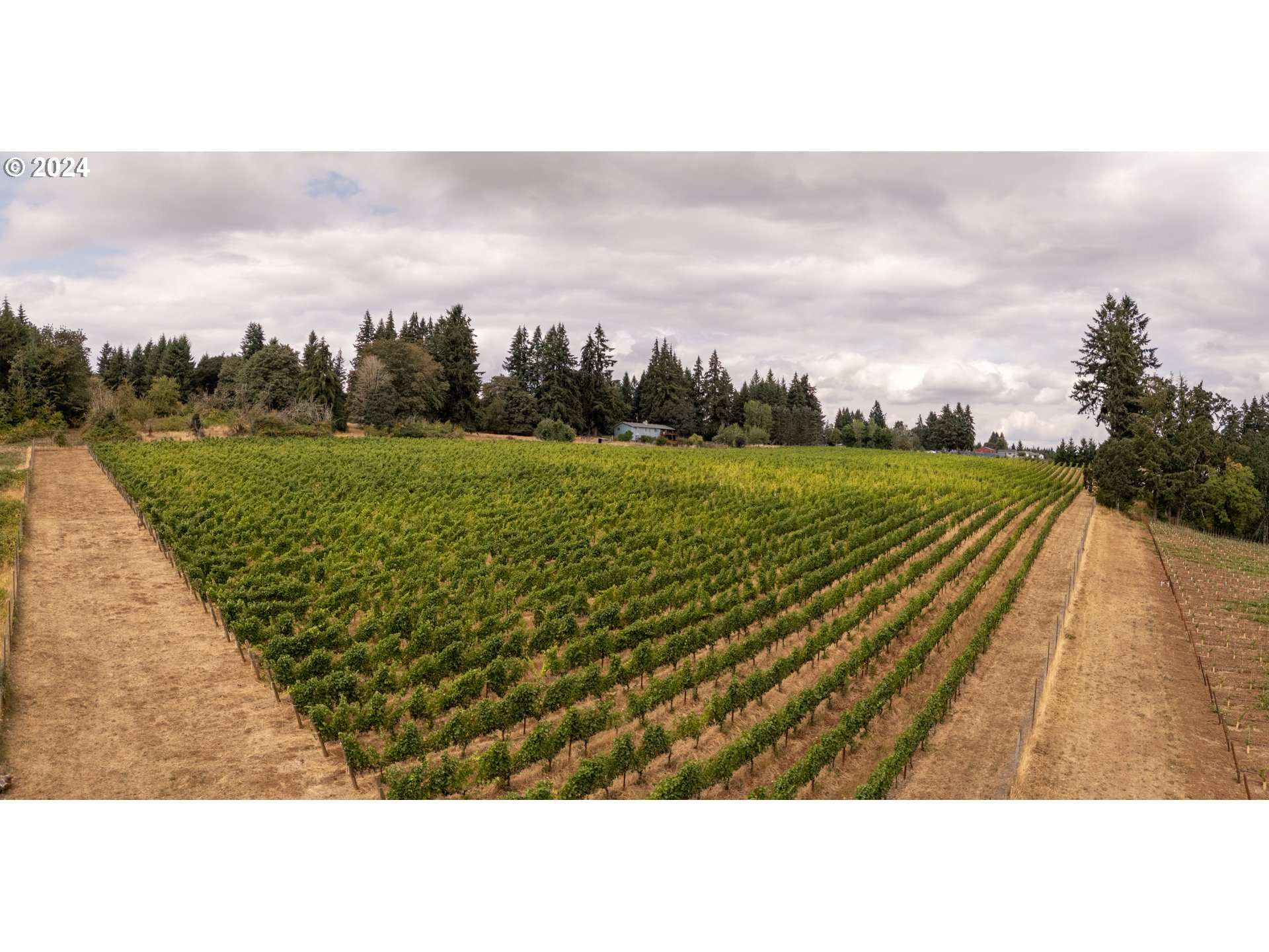 10420 SE HILLVIEW DR, Amity, OR, 97101