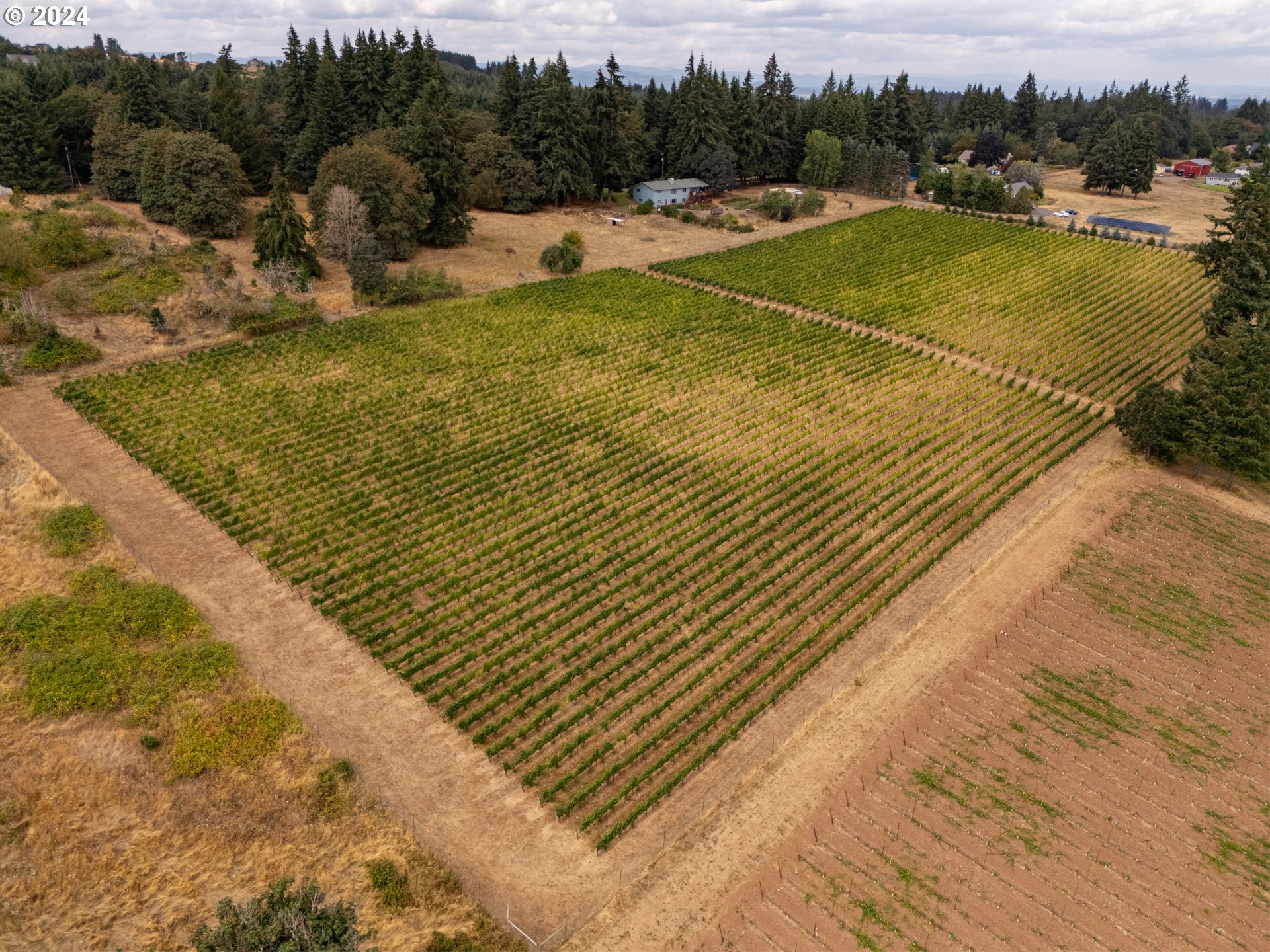 10420 SE HILLVIEW DR, Amity, OR, 97101