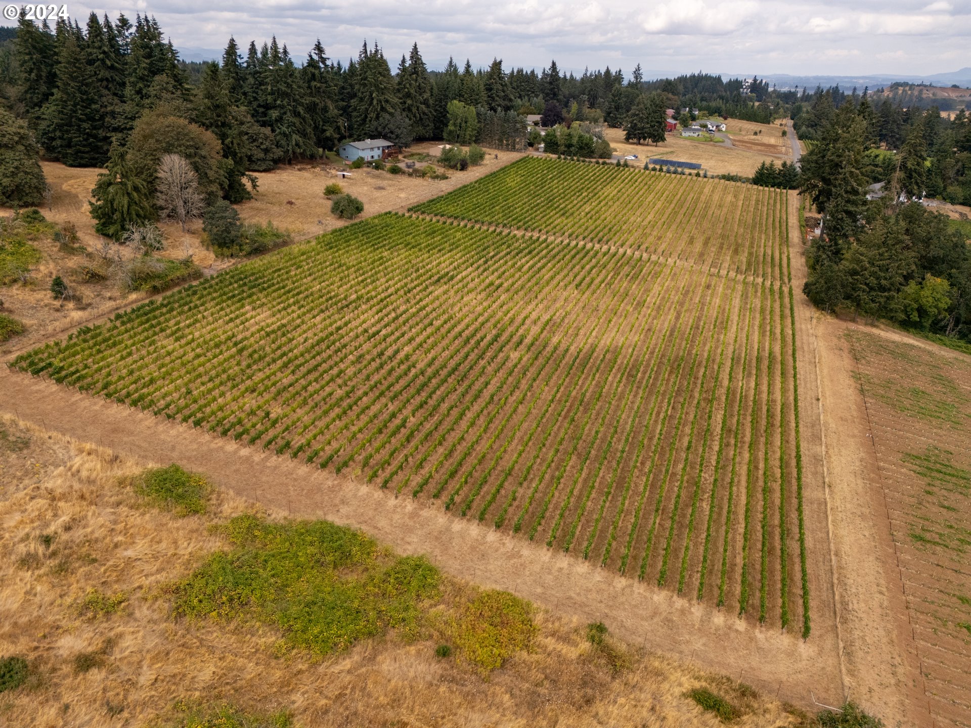 10420 SE HILLVIEW DR, Amity, OR, 97101