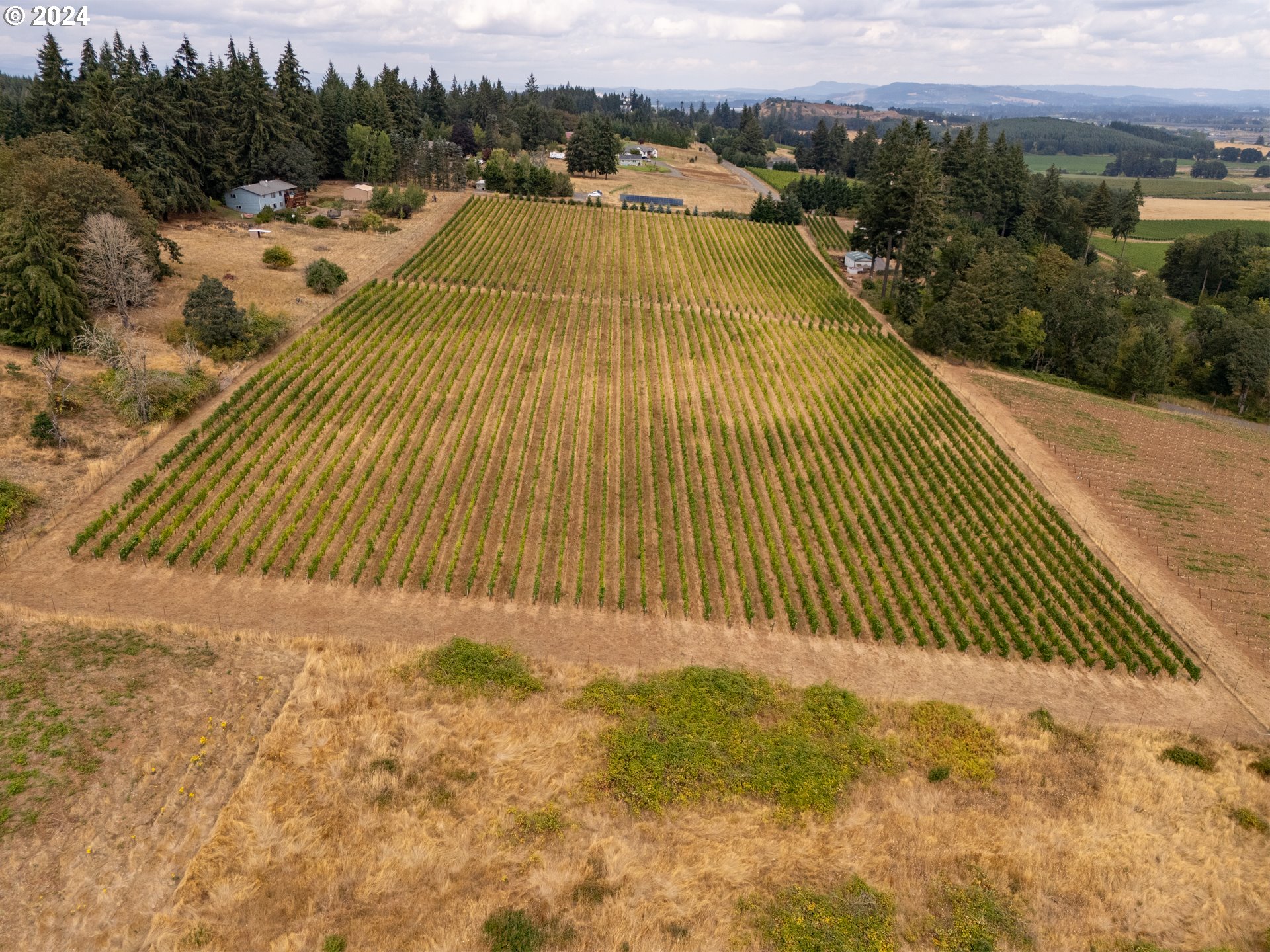 10420 SE HILLVIEW DR, Amity, OR, 97101