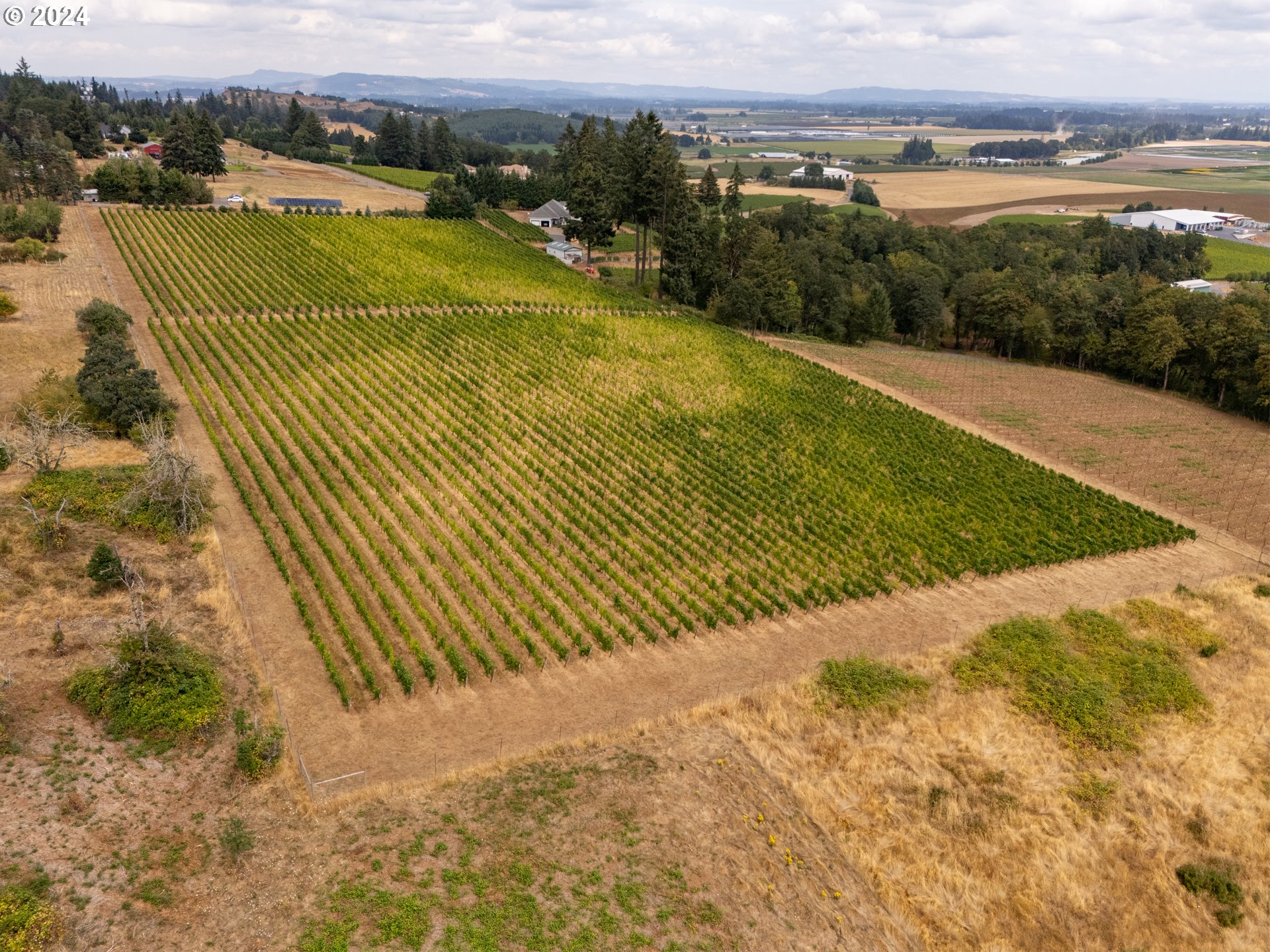 10420 SE HILLVIEW DR, Amity, OR, 97101