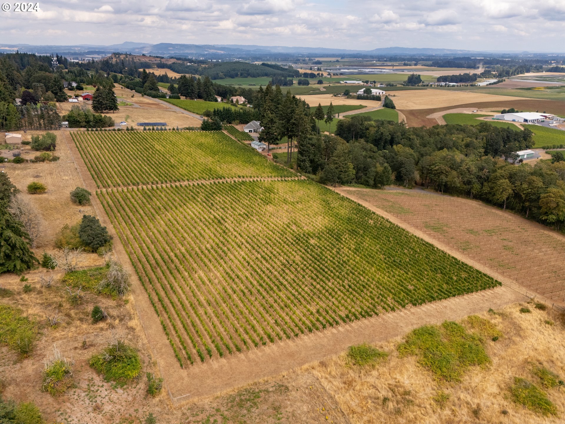 10420 SE HILLVIEW DR, Amity, OR, 97101