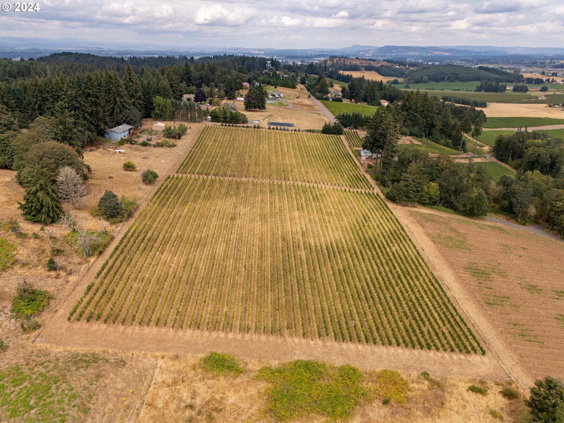 10420 SE HILLVIEW DR, Amity, OR, 97101