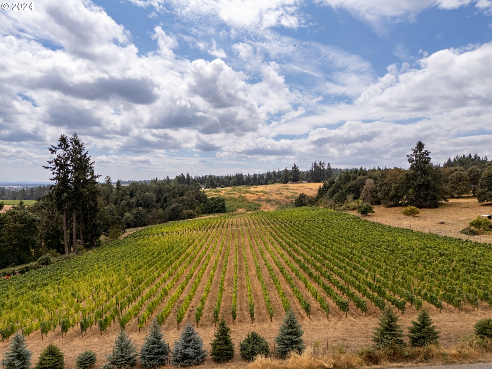 10420 SE HILLVIEW DR, Amity, OR, 97101