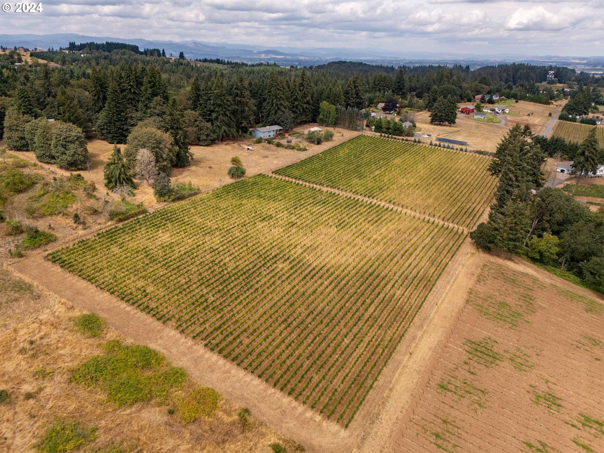 10420 SE HILLVIEW DR, Amity, OR, 97101