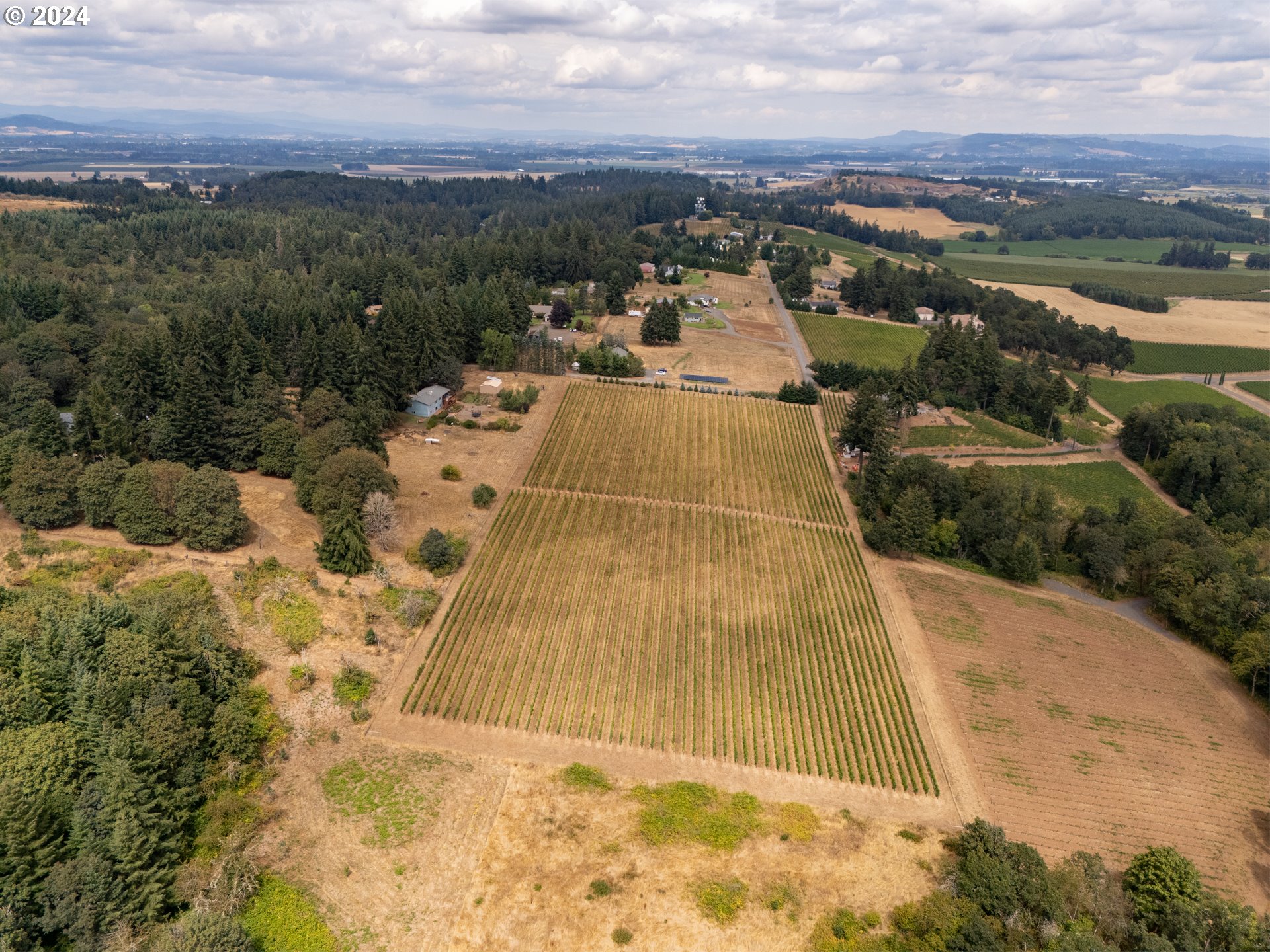 10420 SE HILLVIEW DR, Amity, OR, 97101