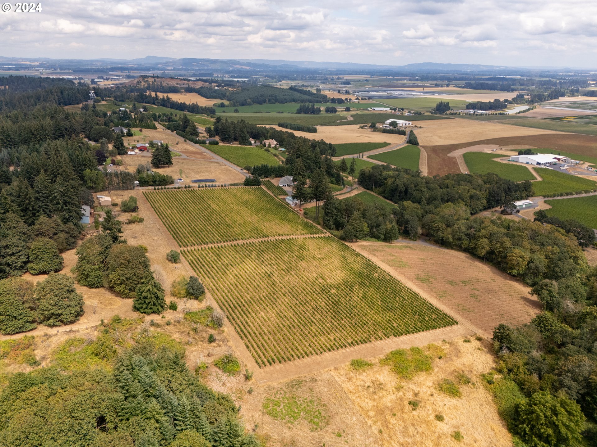 10420 SE HILLVIEW DR, Amity, OR, 97101