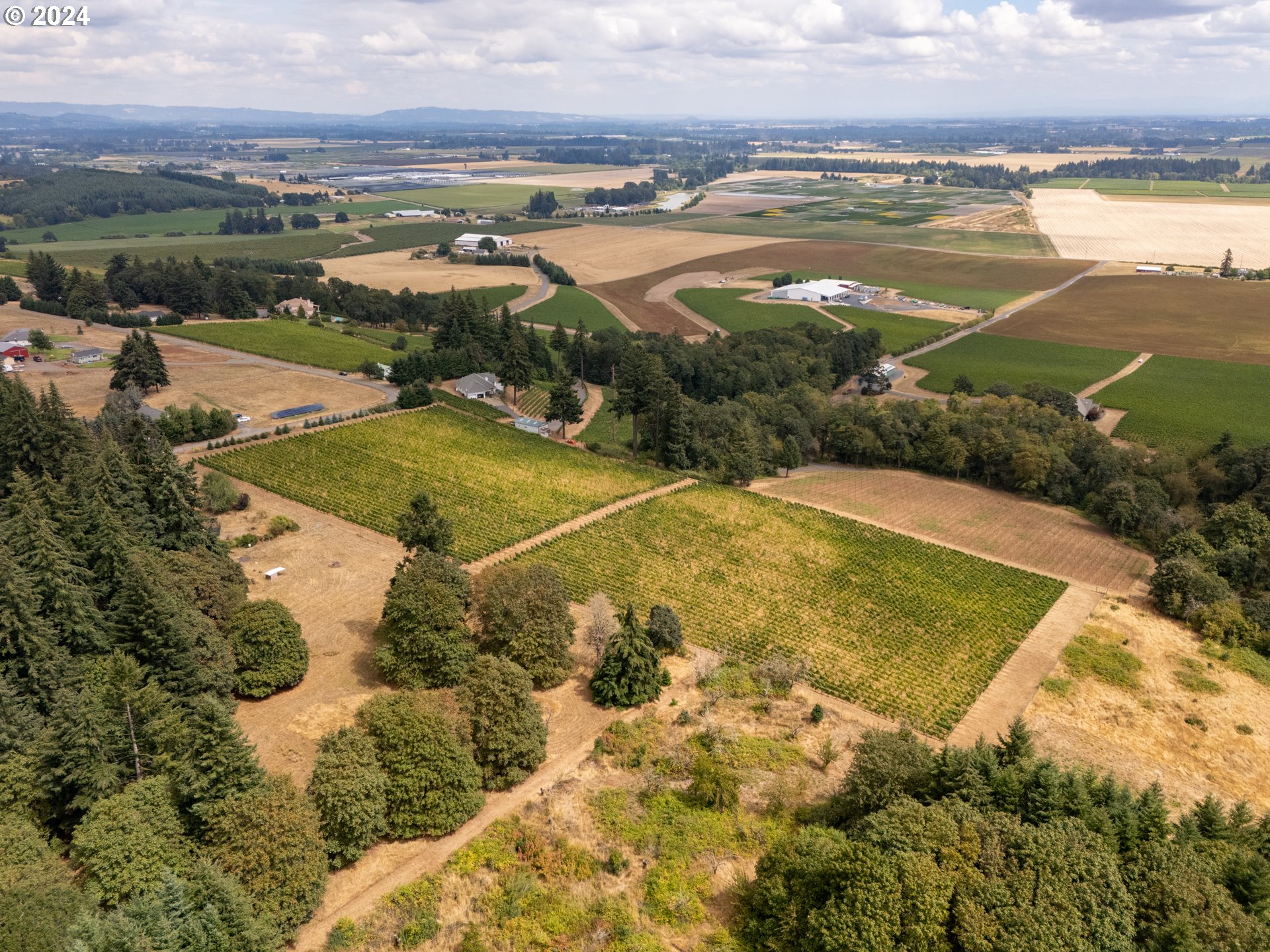 10420 SE HILLVIEW DR, Amity, OR, 97101