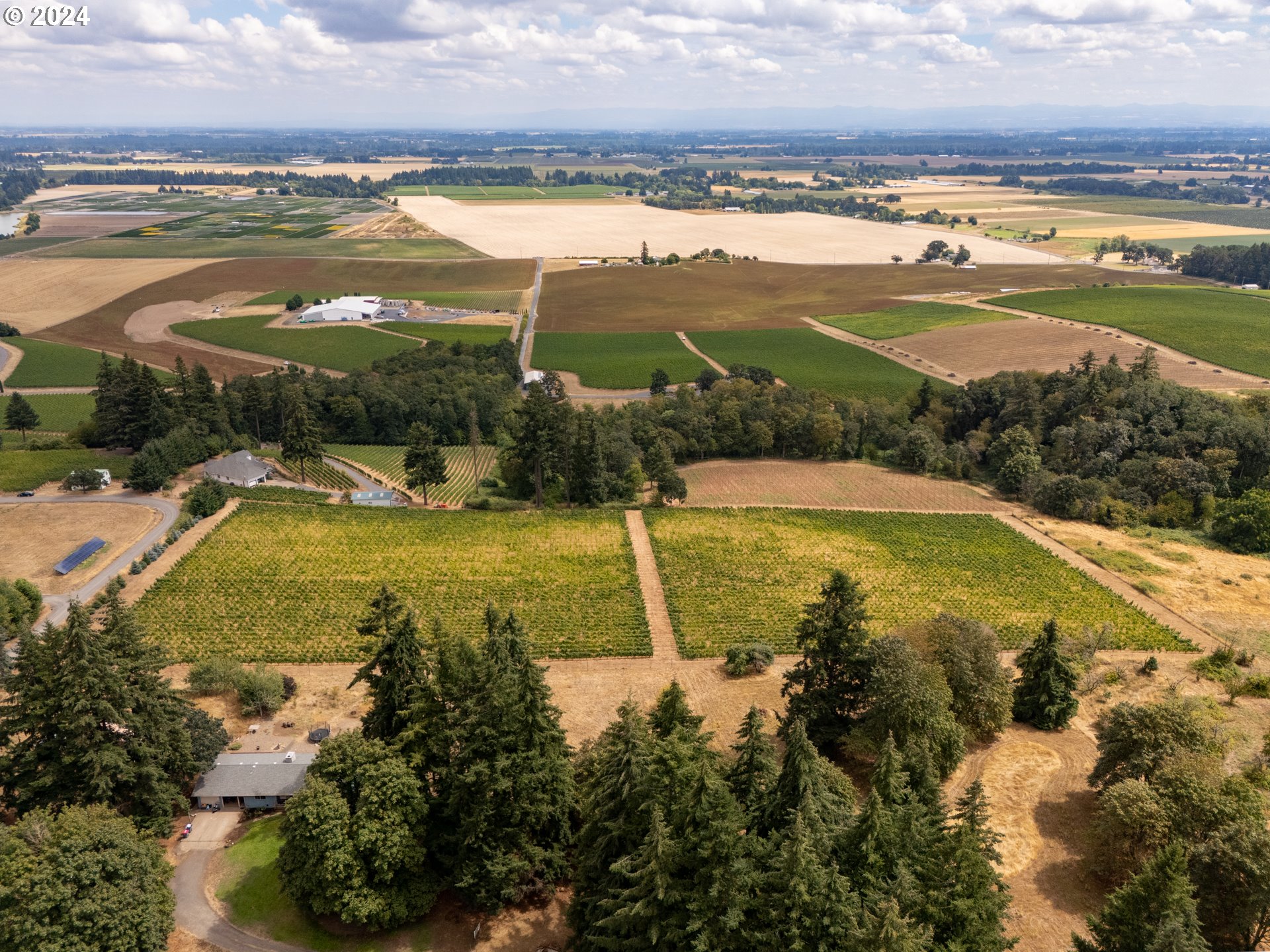 10420 SE HILLVIEW DR, Amity, OR, 97101