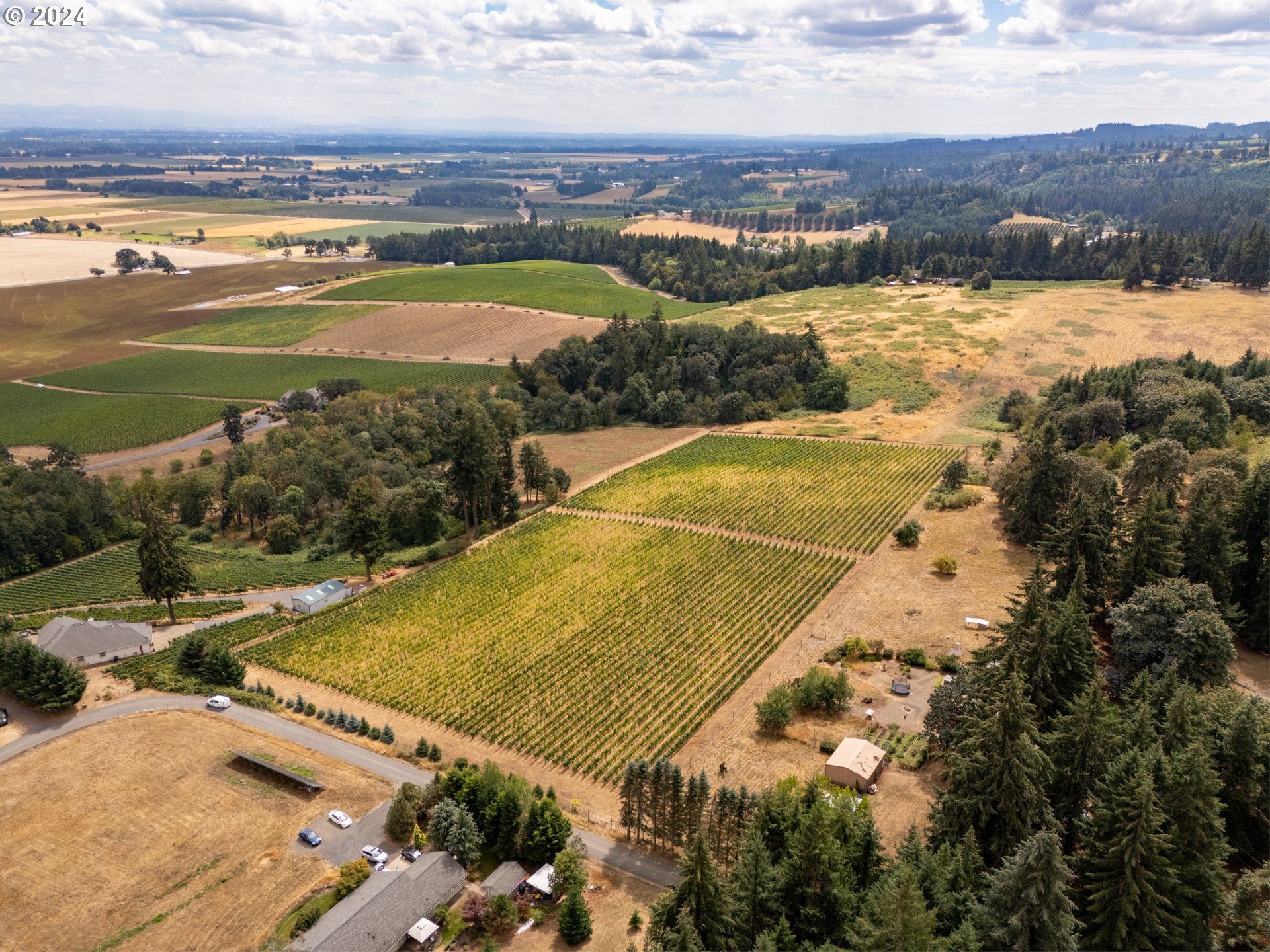 10420 SE HILLVIEW DR, Amity, OR, 97101