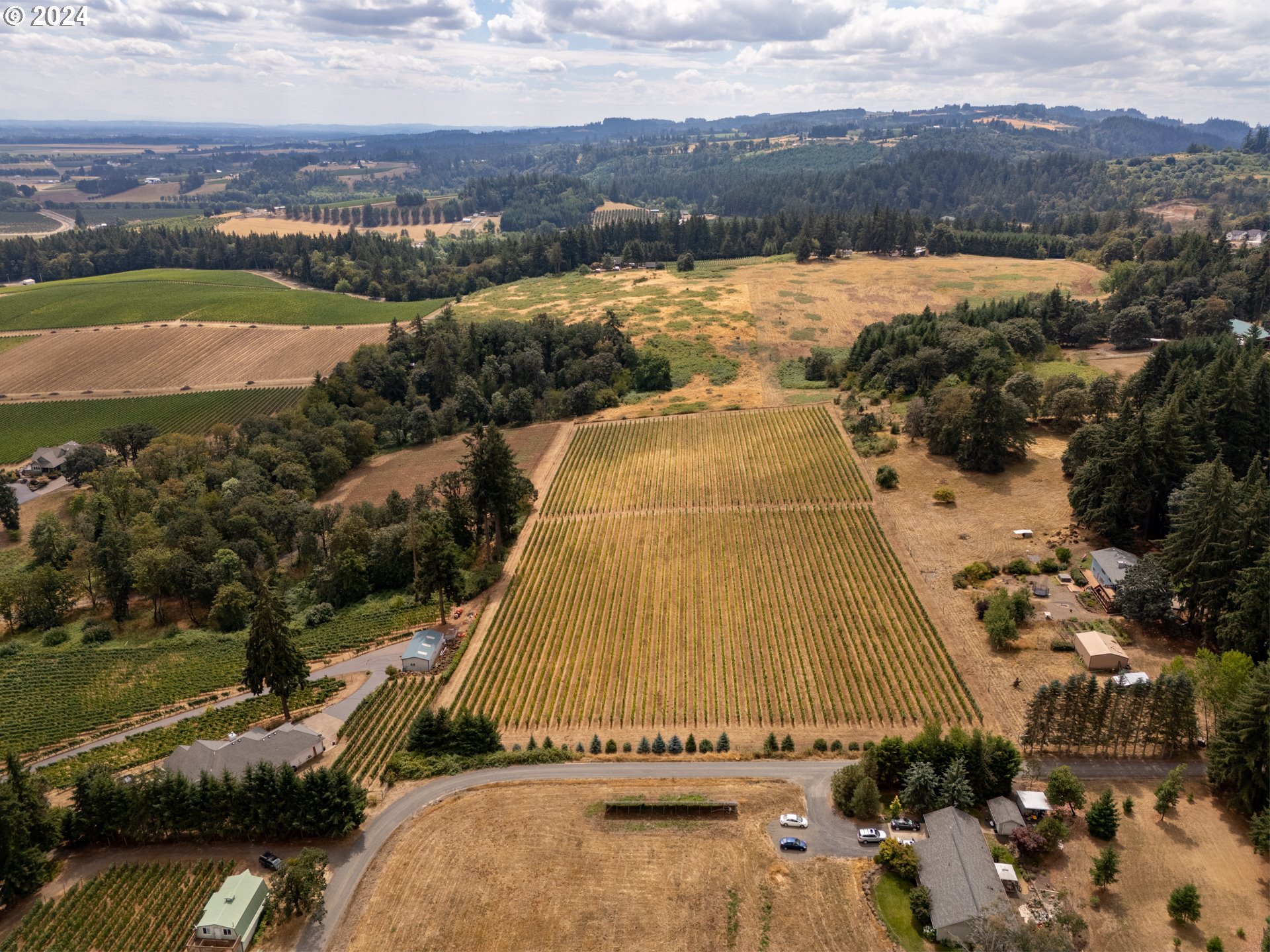 10420 SE HILLVIEW DR, Amity, OR, 97101