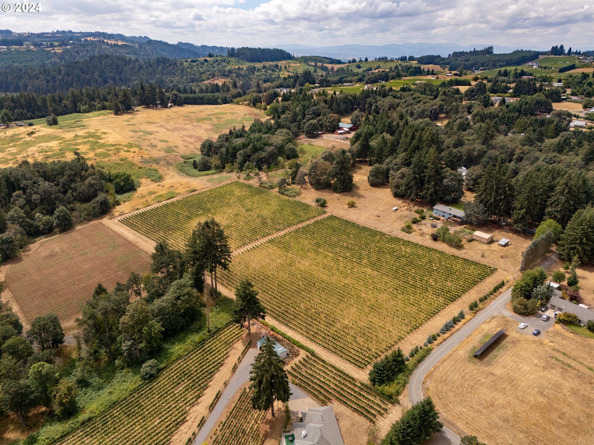 10420 SE HILLVIEW DR, Amity, OR, 97101