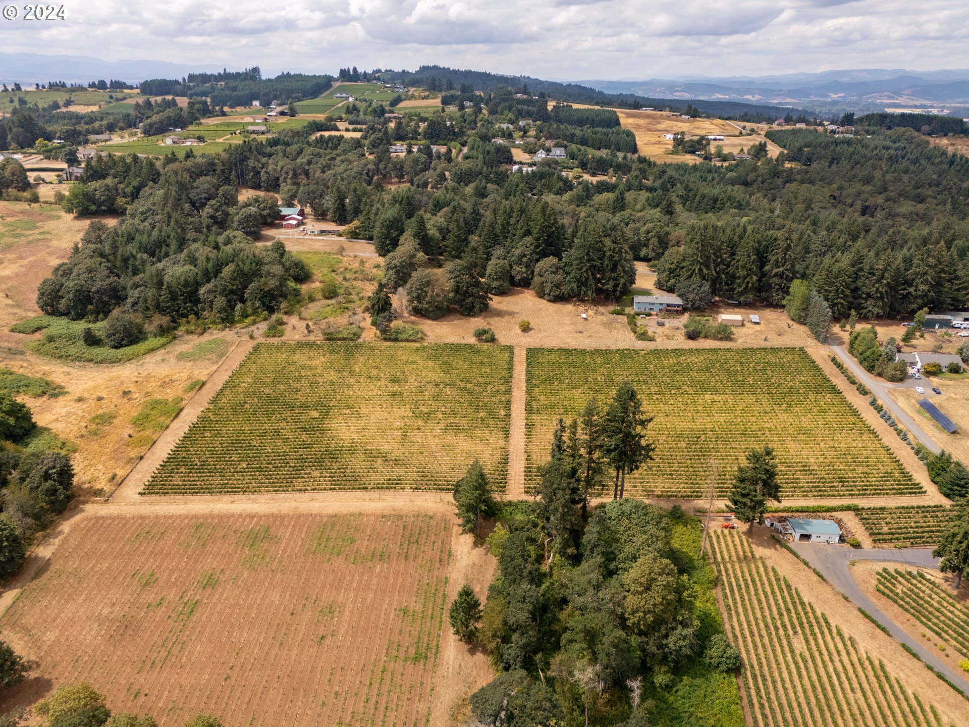 10420 SE HILLVIEW DR, Amity, OR, 97101