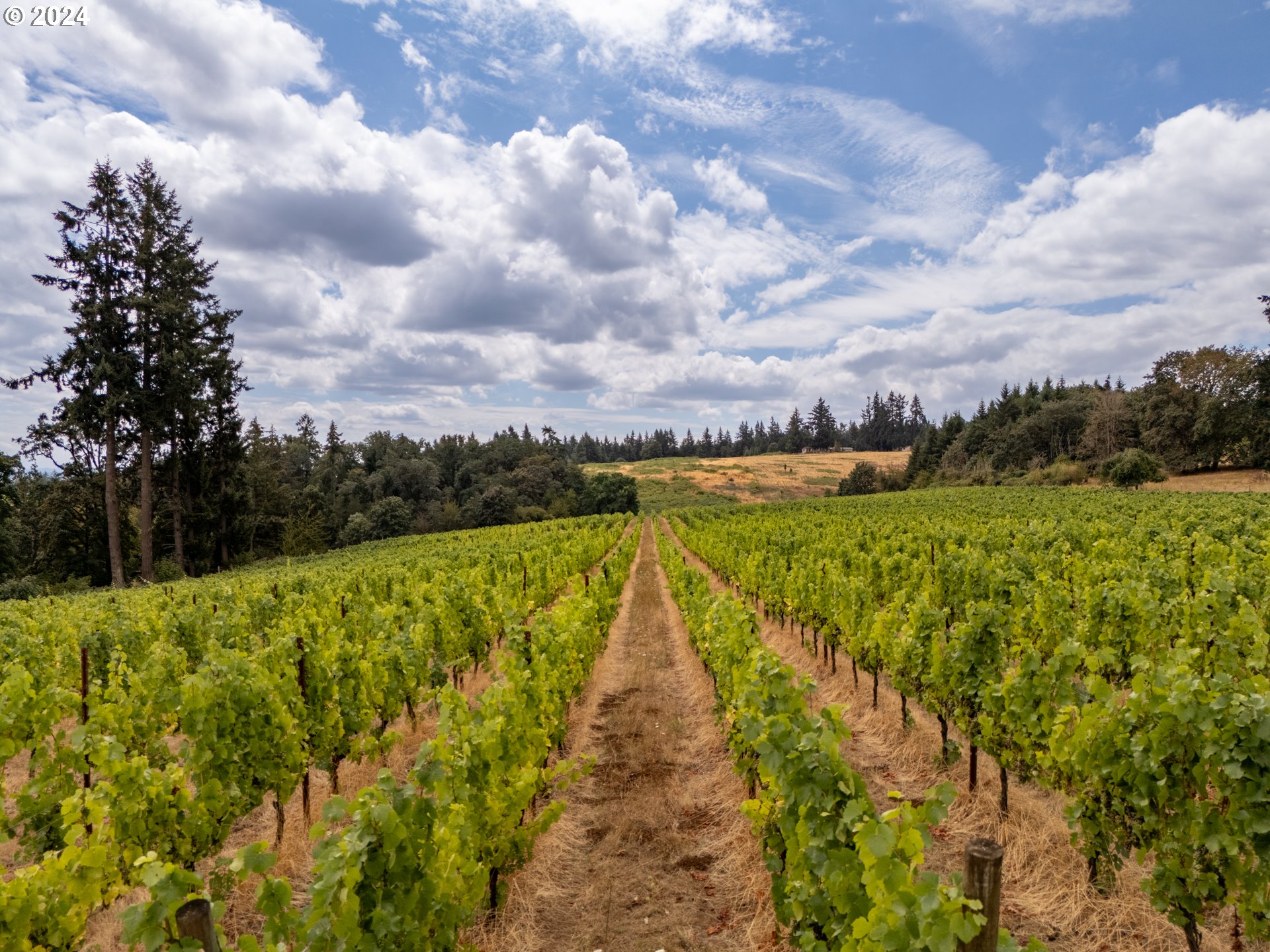 10420 SE HILLVIEW DR, Amity, OR, 97101