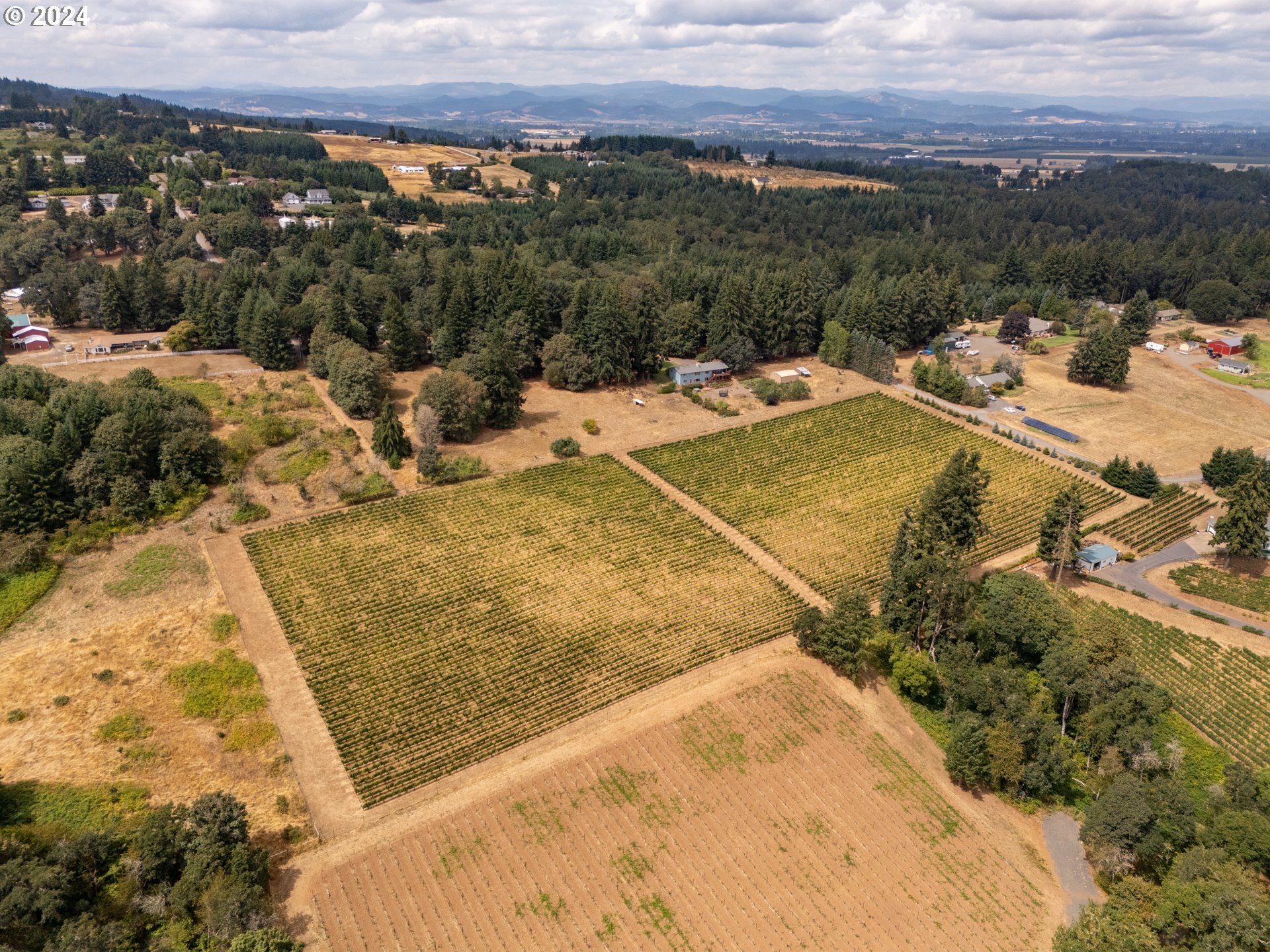 10420 SE HILLVIEW DR, Amity, OR, 97101