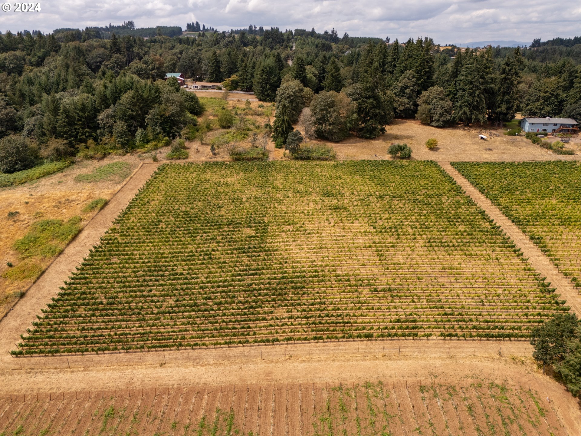 10420 SE HILLVIEW DR, Amity, OR, 97101