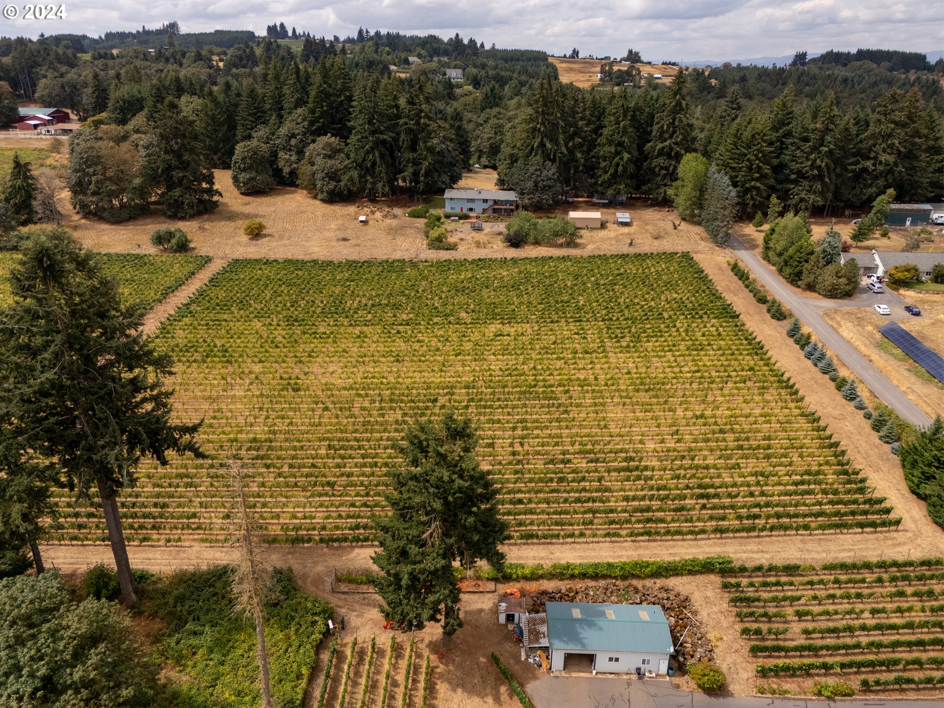 10420 SE HILLVIEW DR, Amity, OR, 97101