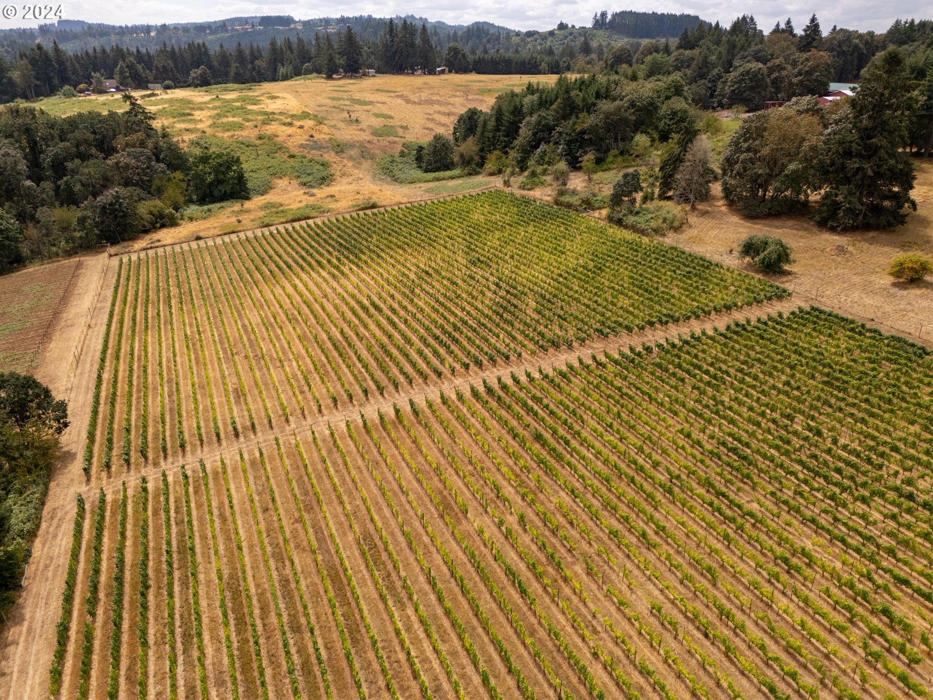 10420 SE HILLVIEW DR, Amity, OR, 97101