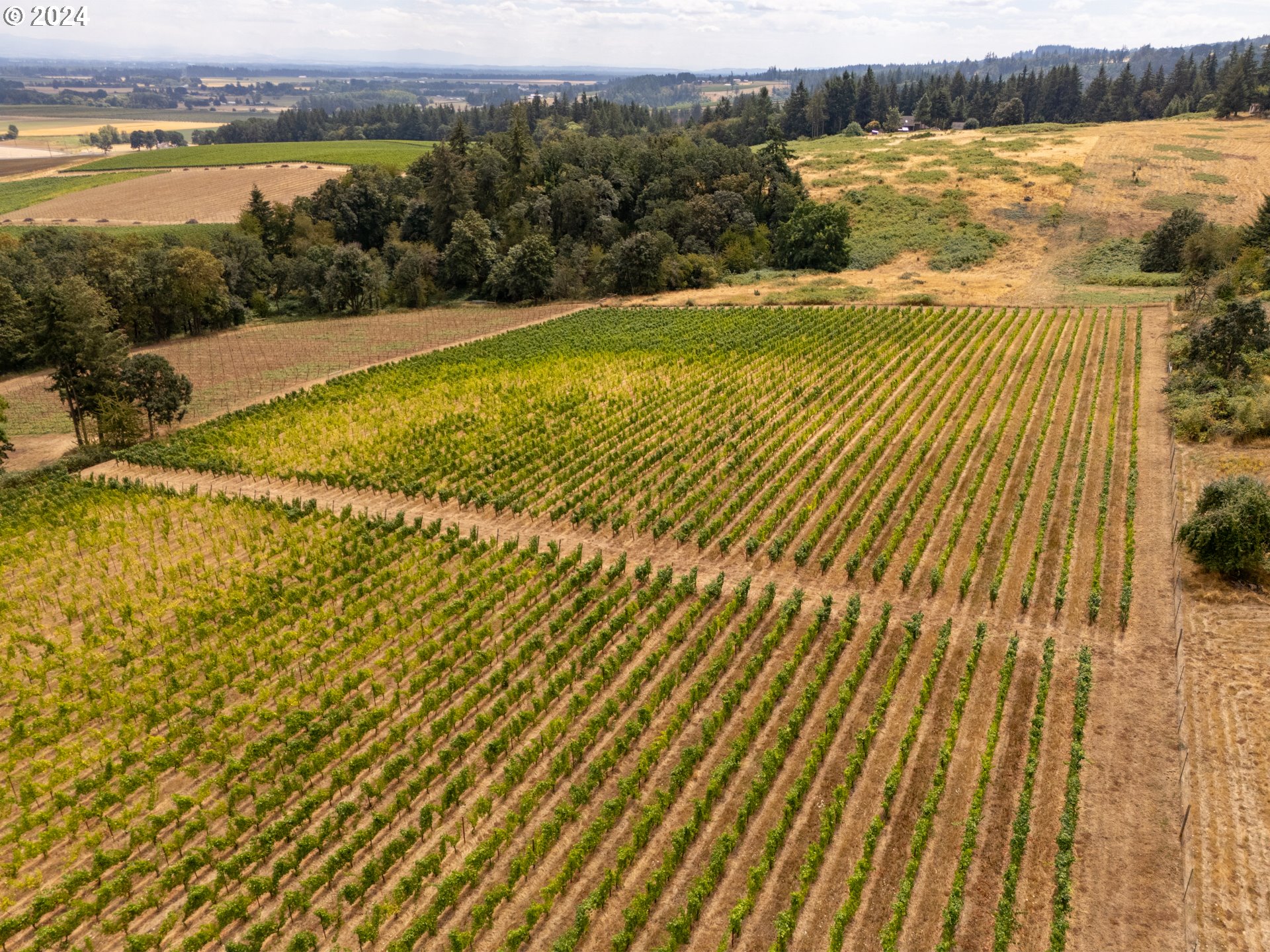 10420 SE HILLVIEW DR, Amity, OR, 97101