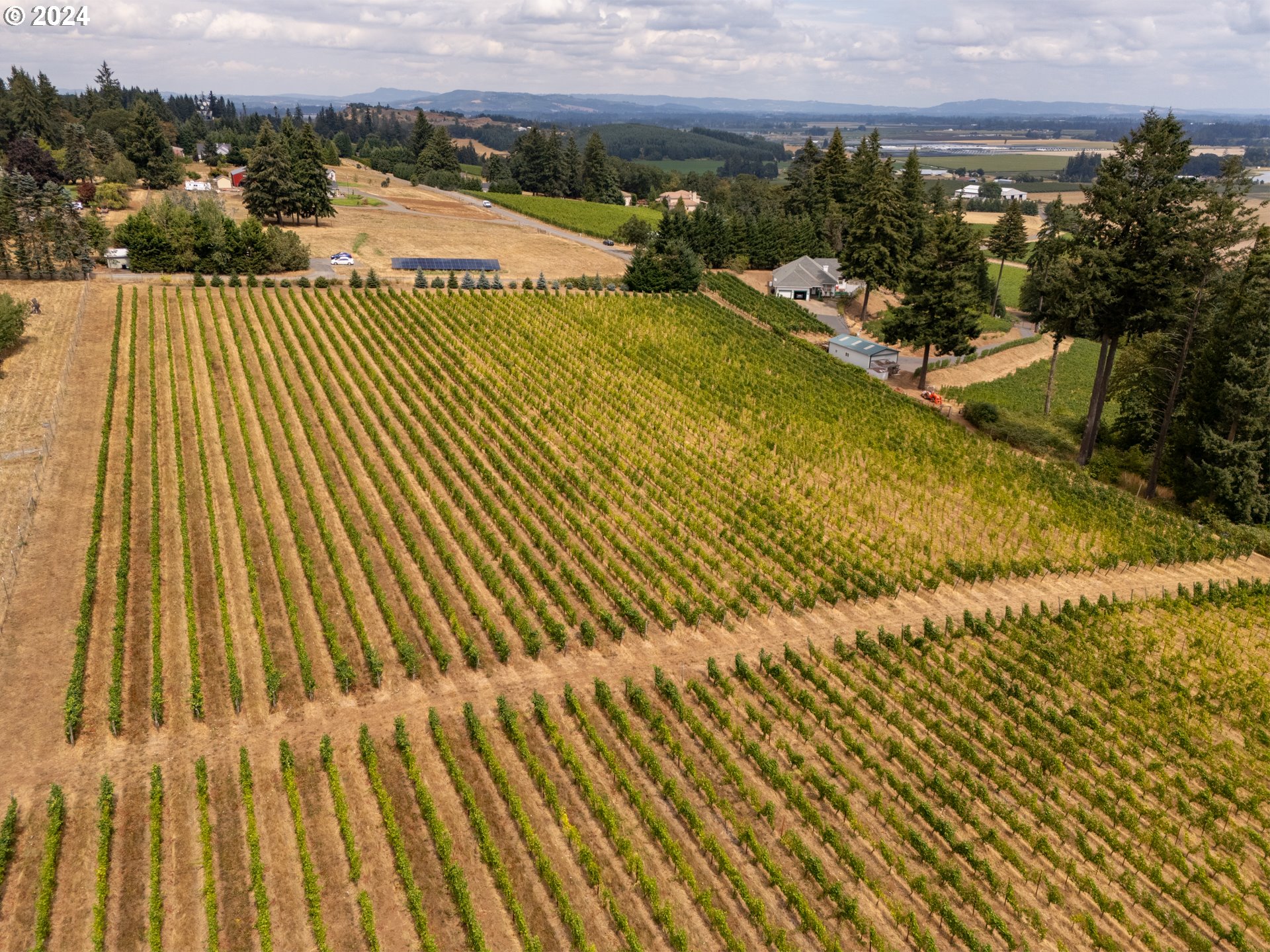 10420 SE HILLVIEW DR, Amity, OR, 97101