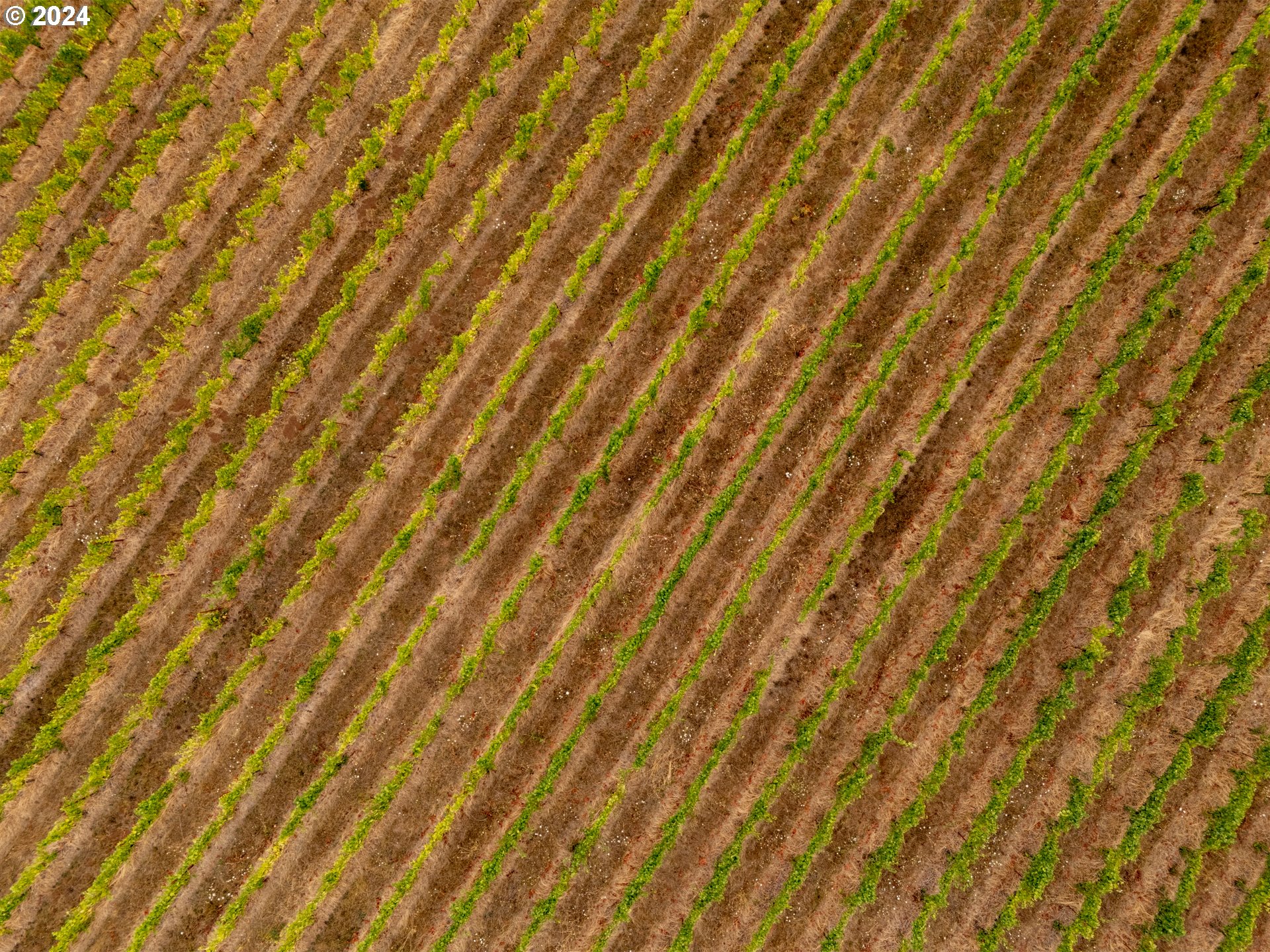 10420 SE HILLVIEW DR, Amity, OR, 97101