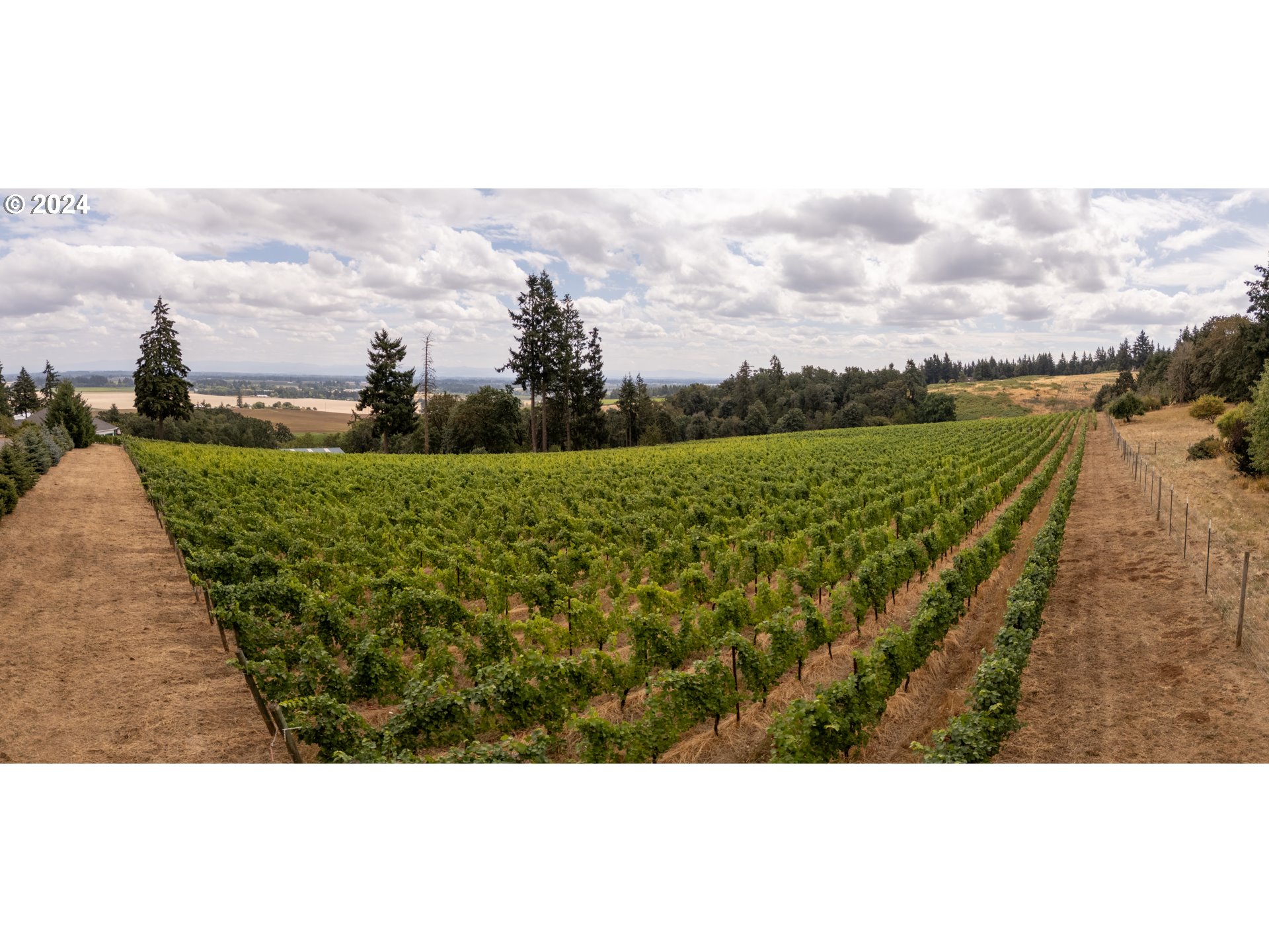 10420 SE HILLVIEW DR, Amity, OR, 97101