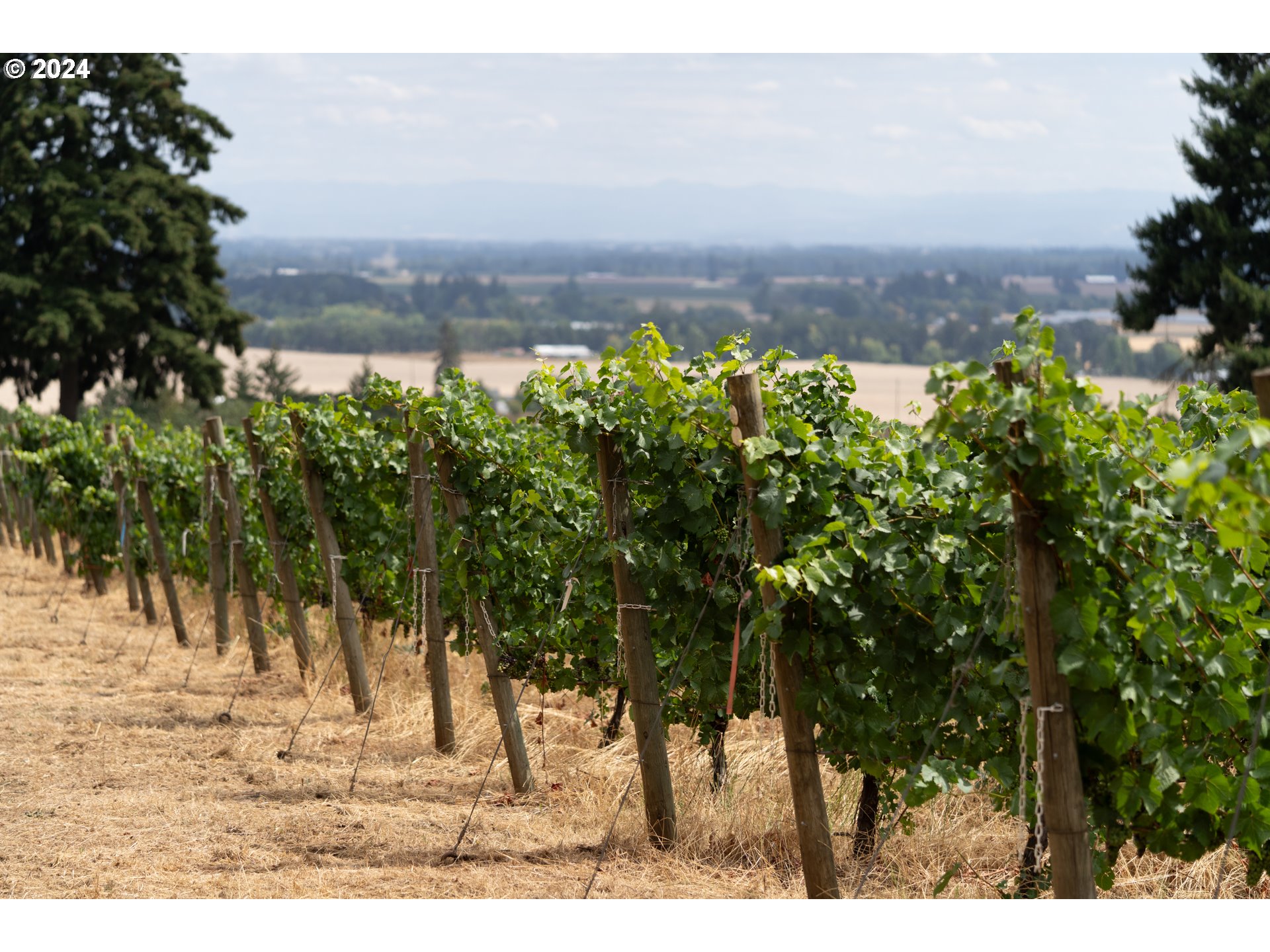 10420 SE HILLVIEW DR, Amity, OR, 97101