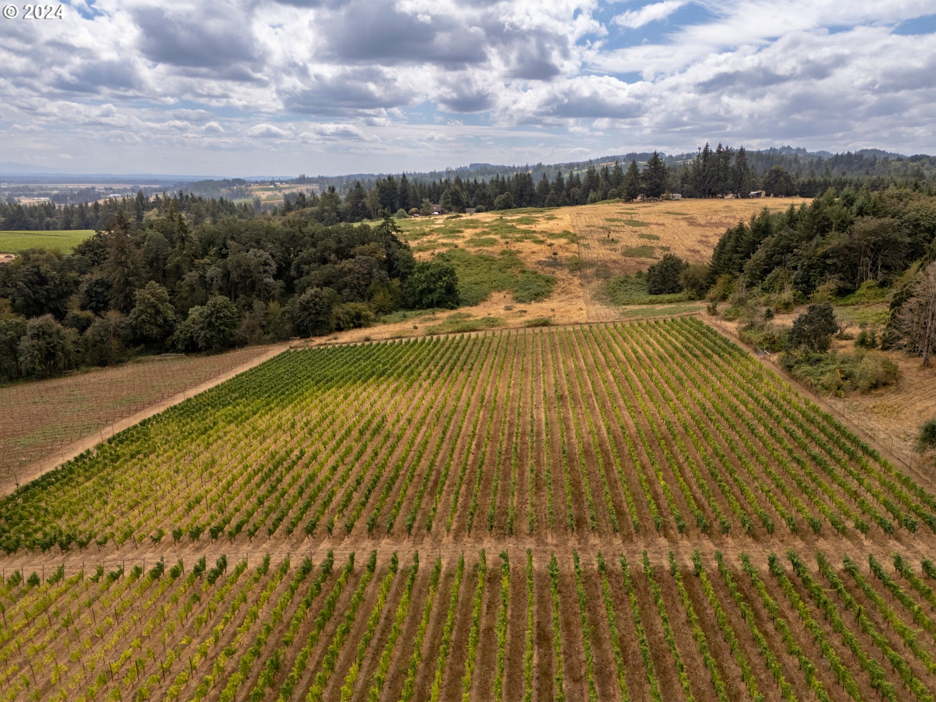 10420 SE HILLVIEW DR, Amity, OR, 97101