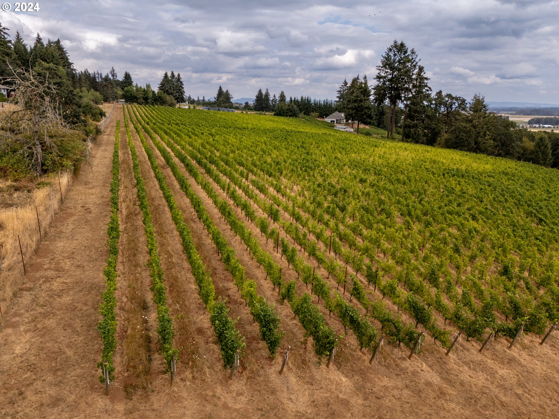 10420 SE HILLVIEW DR, Amity, OR, 97101