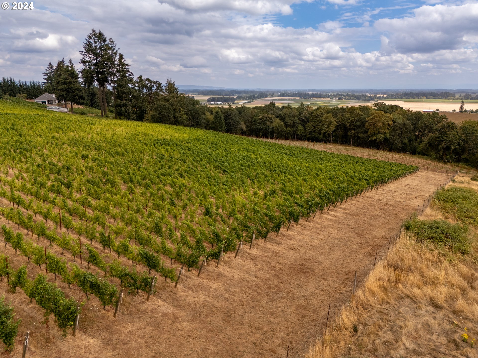 10420 SE HILLVIEW DR, Amity, OR, 97101