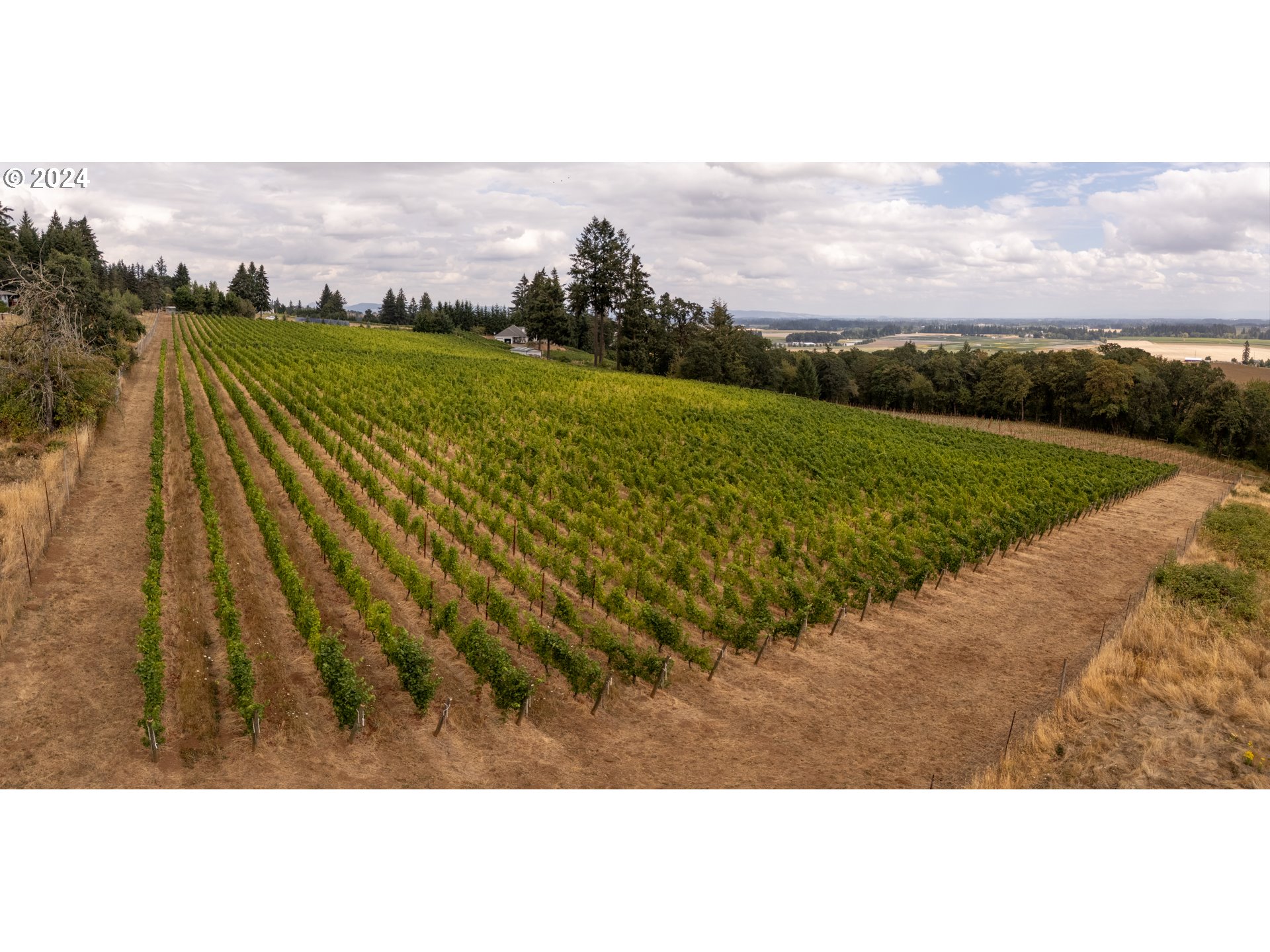 10420 SE HILLVIEW DR, Amity, OR, 97101