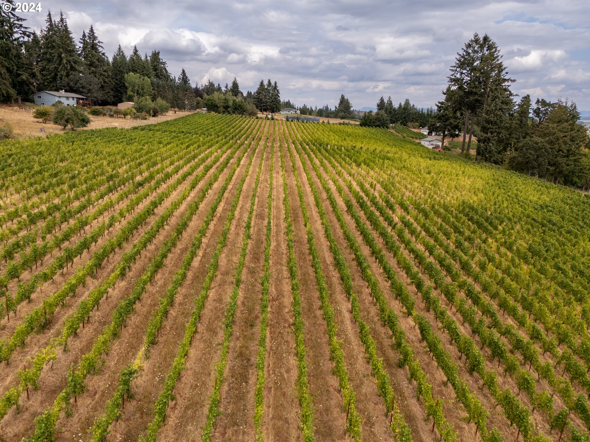 10420 SE HILLVIEW DR, Amity, OR, 97101