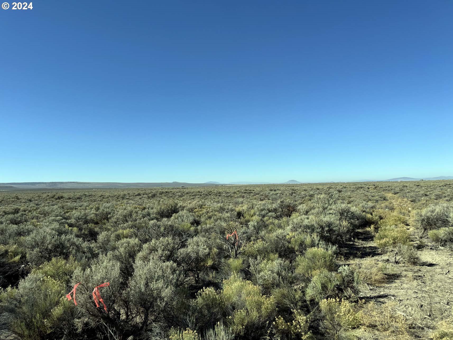 Search Homes for Sale