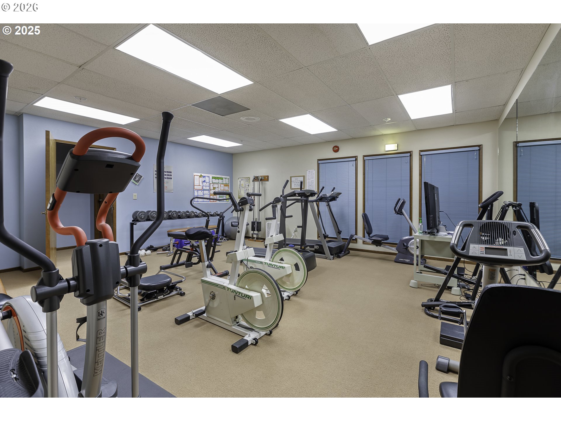 Photo #31: 245581265 Listing: Photo #31