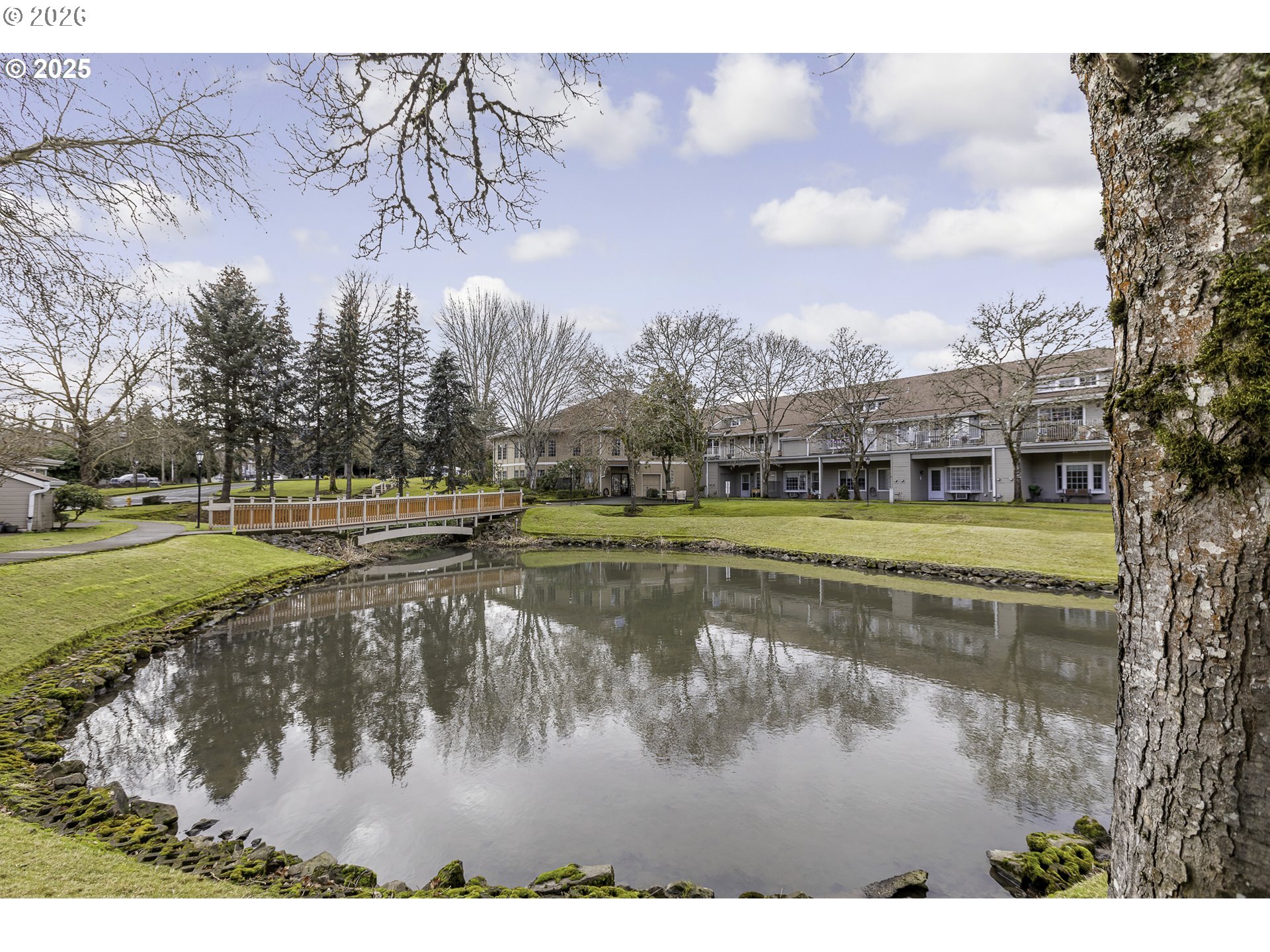 Photo #32: 245581265 Listing: Photo #32