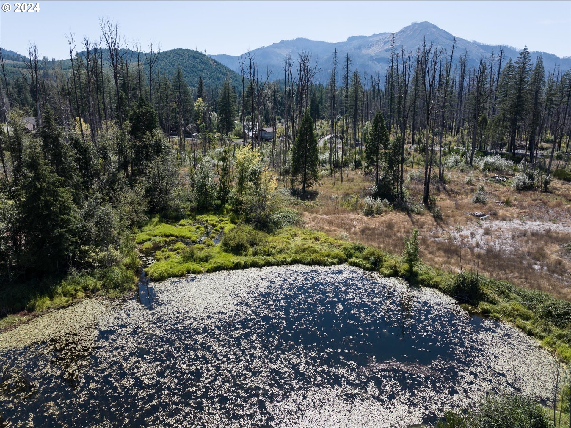 Photo of McKenzie HWY Blue River OR 97413