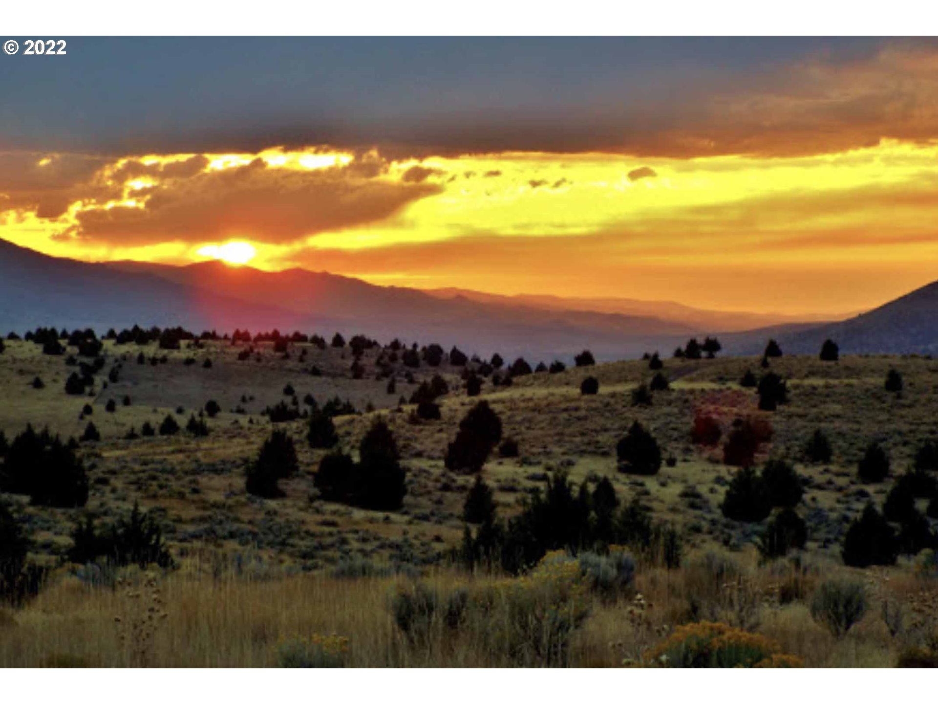 Search Homes for Sale