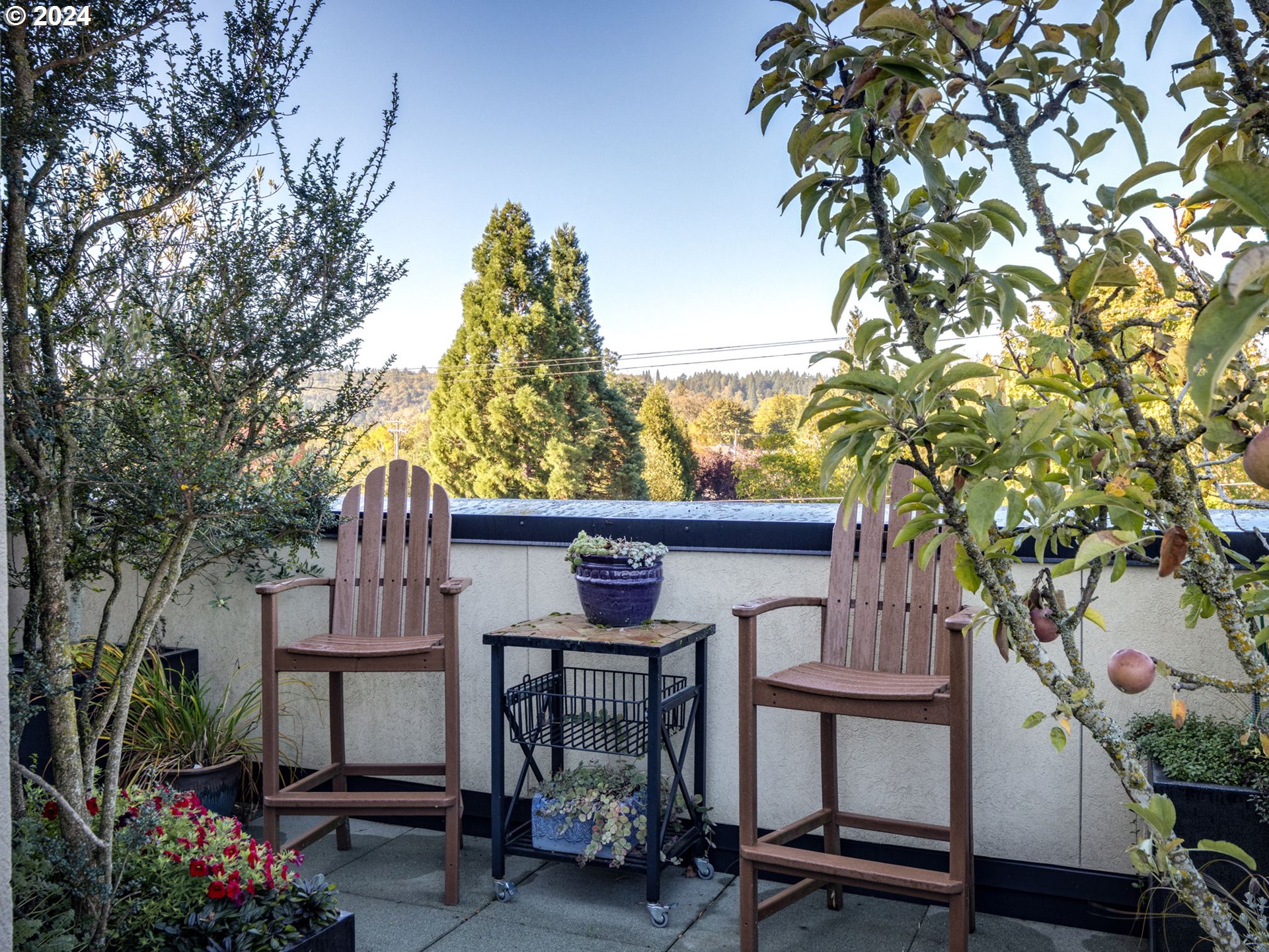 Photo #6: 24595046 Listing 