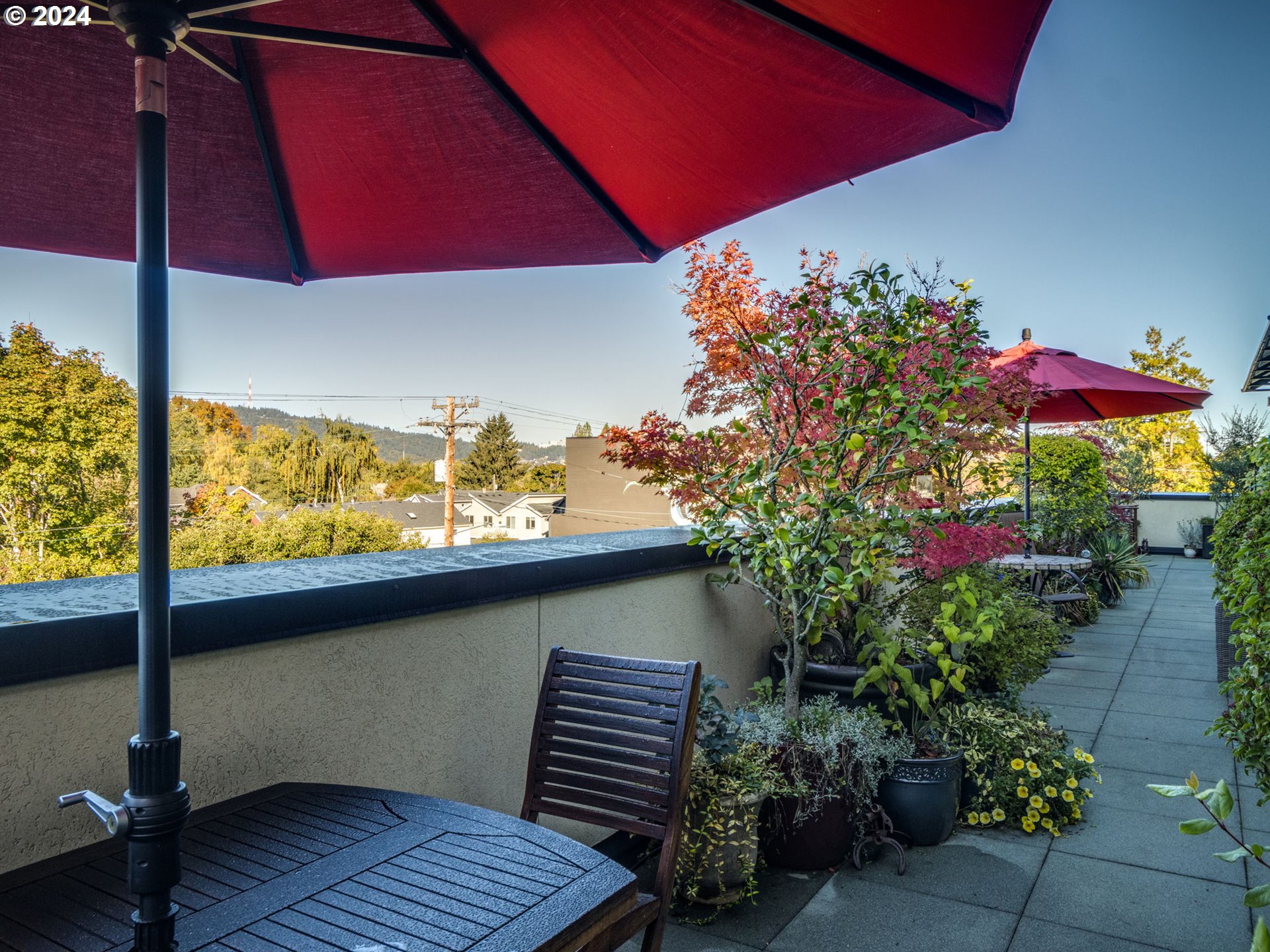 Photo #2: 24595046 Listing 