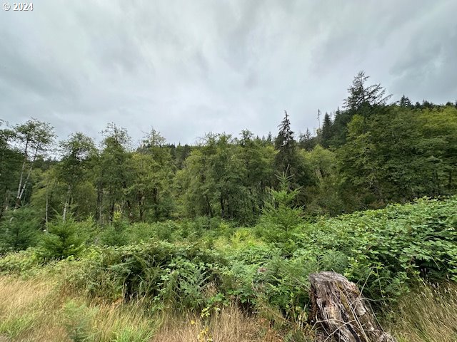 Photo of 2 Dubois RD Ariel WA 98603