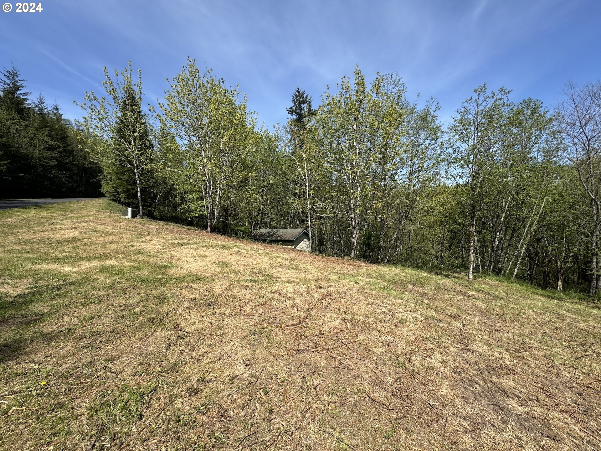 430  Runyan Rd, Woodland, WA 98674