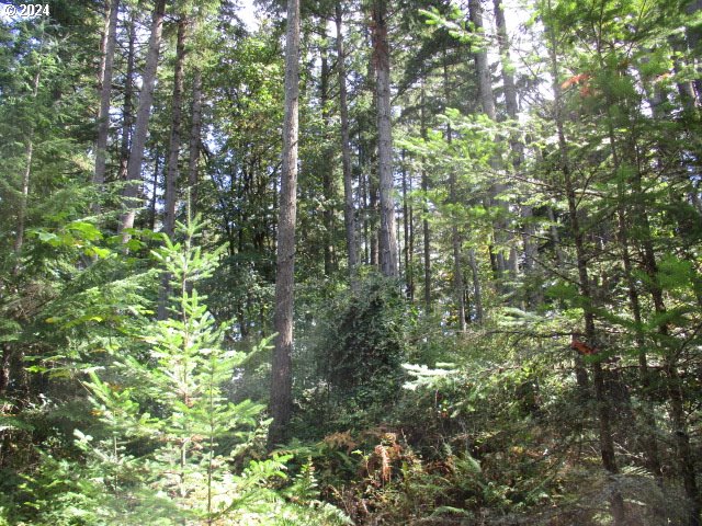 Linn County Linn County