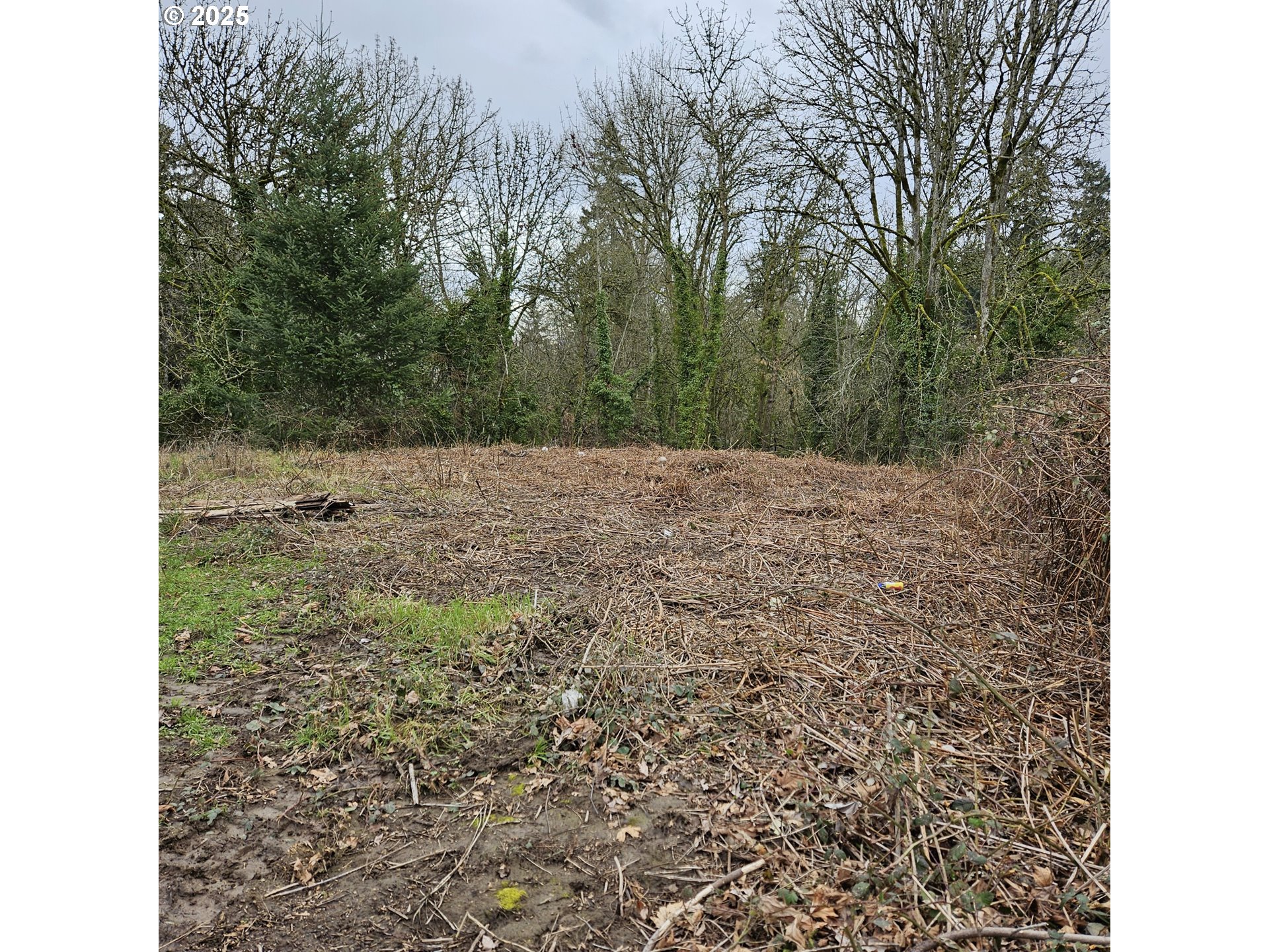 Search Homes for Sale