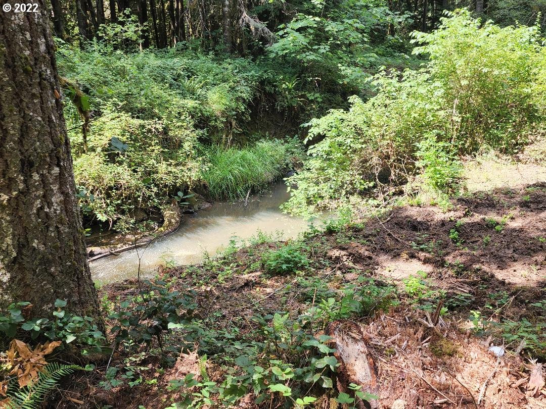 17 Bartleson UNIT 1419, Coos Bay, OR, 97420