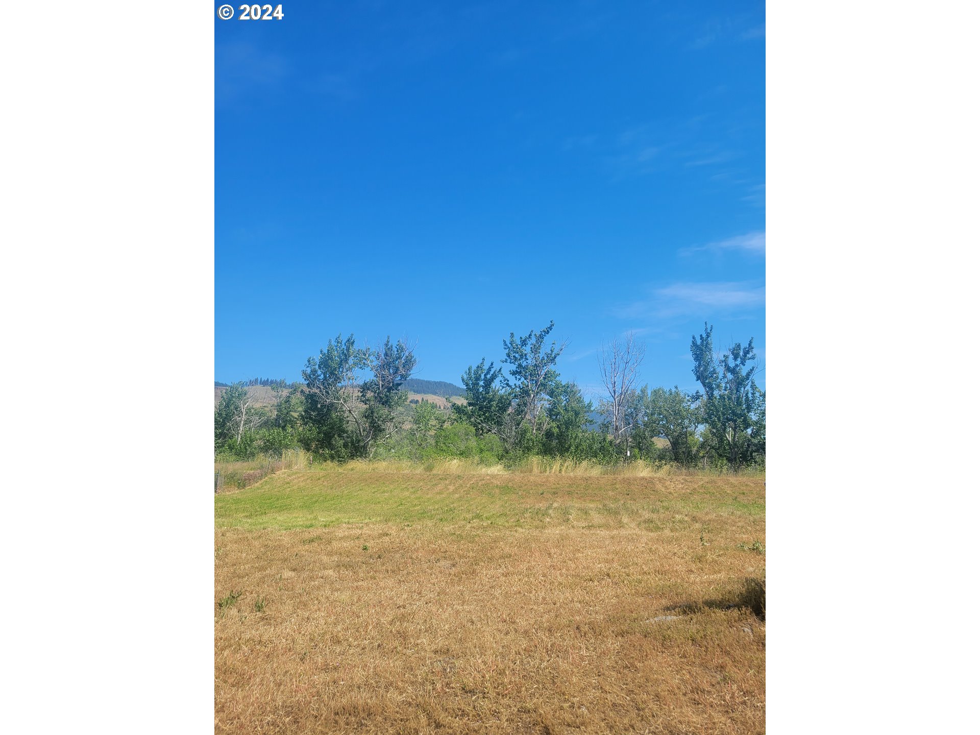 Search Homes for Sale