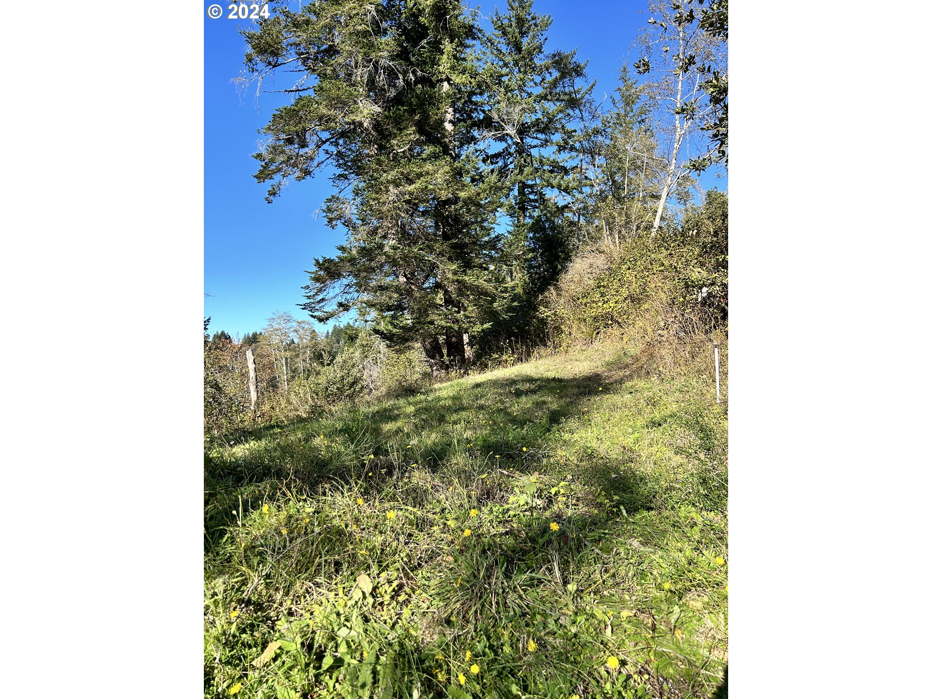 Rhody DR UNIT 600, Brookings, OR, 97415