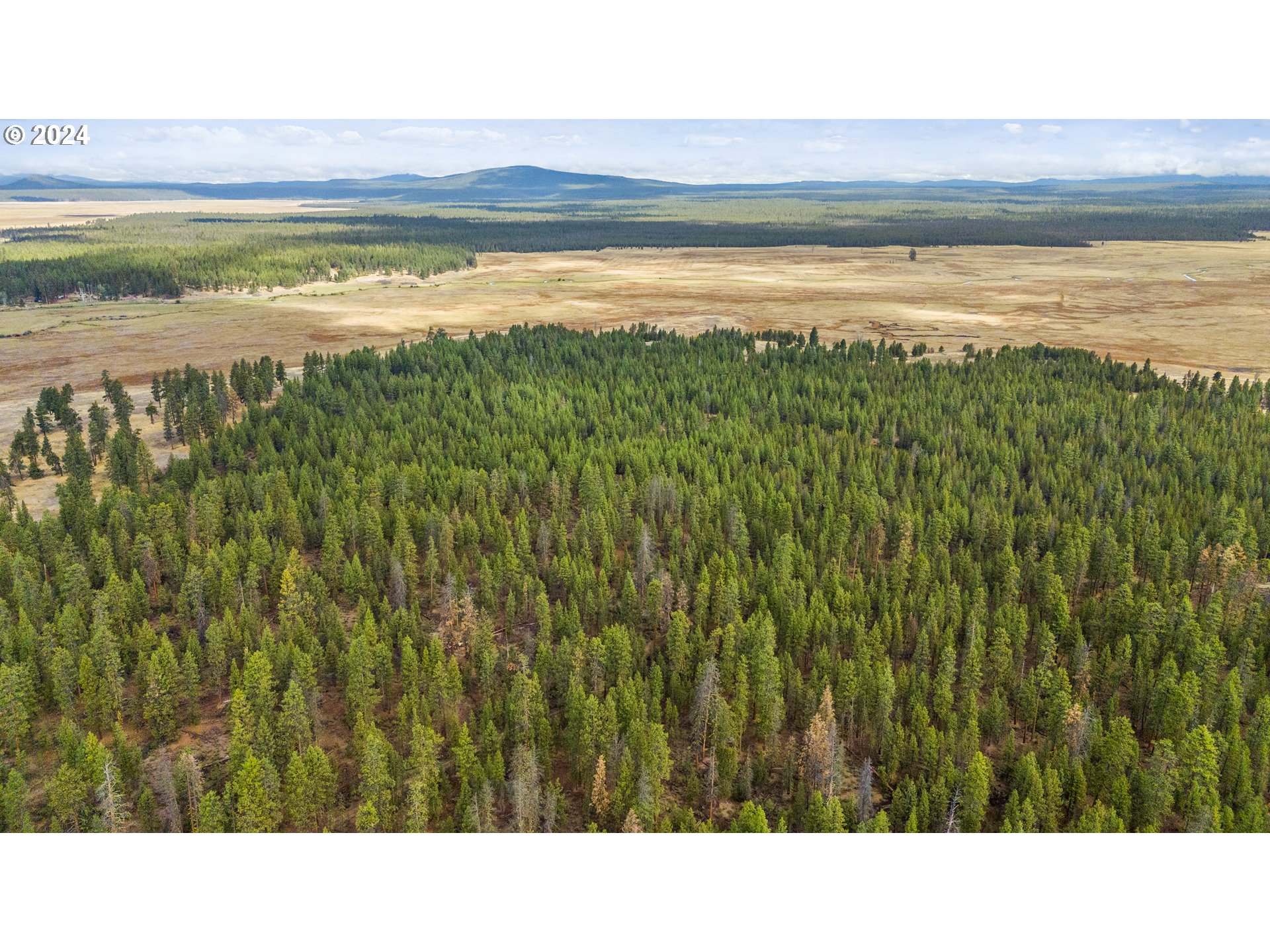 Photo of Bare Land Chiloquin OR 97624