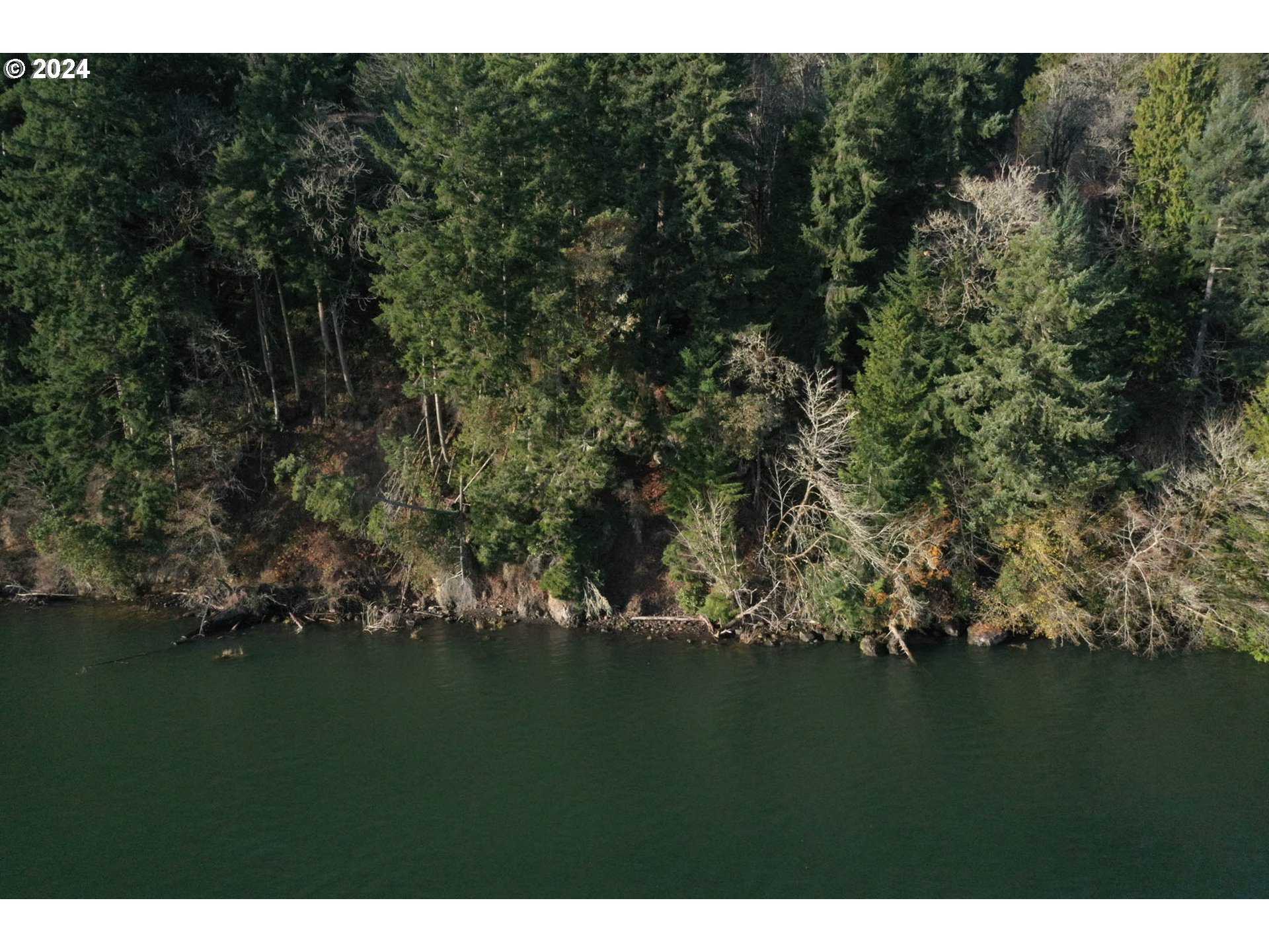 26 EDGE WATER DR, Cathlamet, WA, 98612
