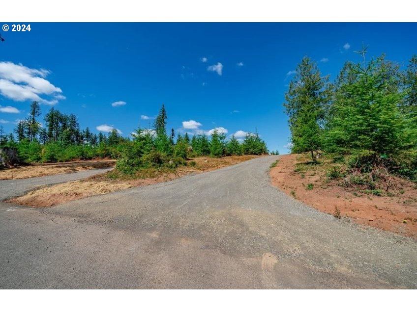 S Silver Lake Rd #6, Castle Rock, WA 98611